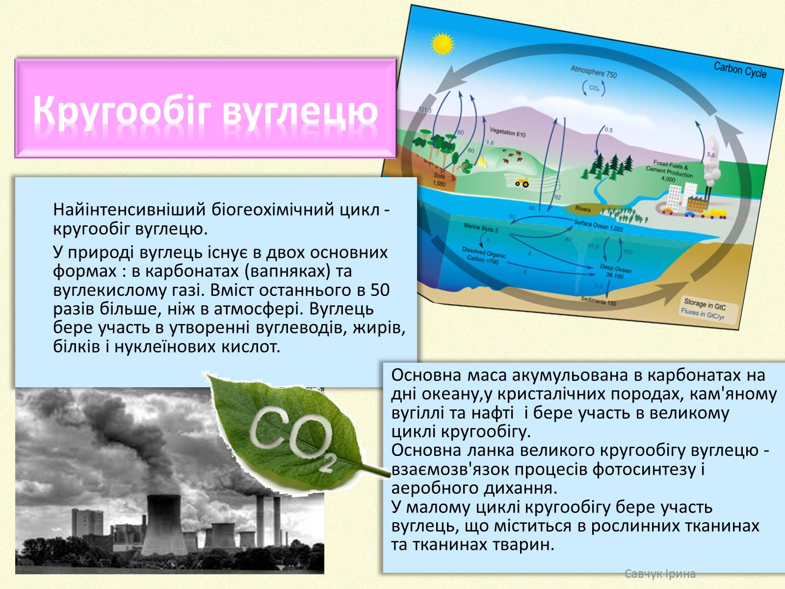 Презентація на тему «Кругообіг речовин у природі» (варіант 2) - Слайд #4 Презентація на тему «Кругообіг речовин у природі» (варіант 2) - Слайд #4