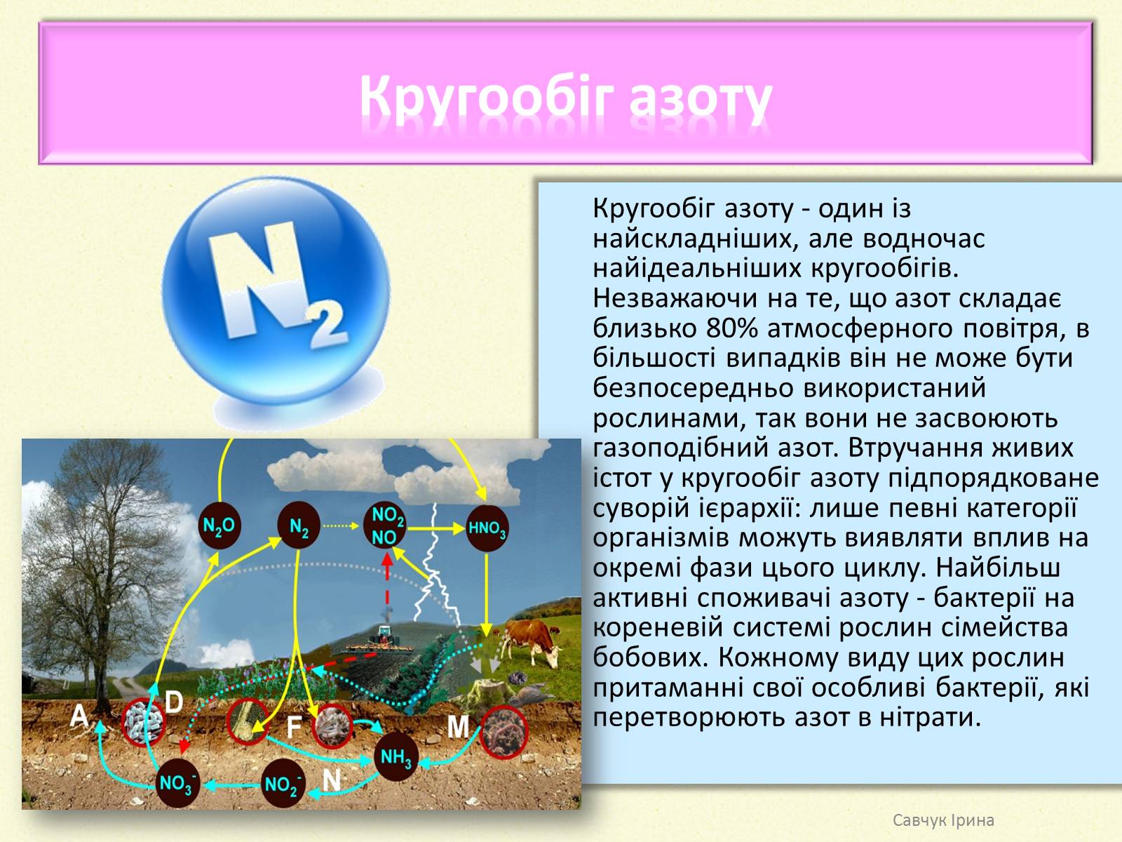 Презентація на тему «Кругообіг речовин у природі» (варіант 2) - Слайд #6 Презентація на тему «Кругообіг речовин у природі» (варіант 2) - Слайд #6