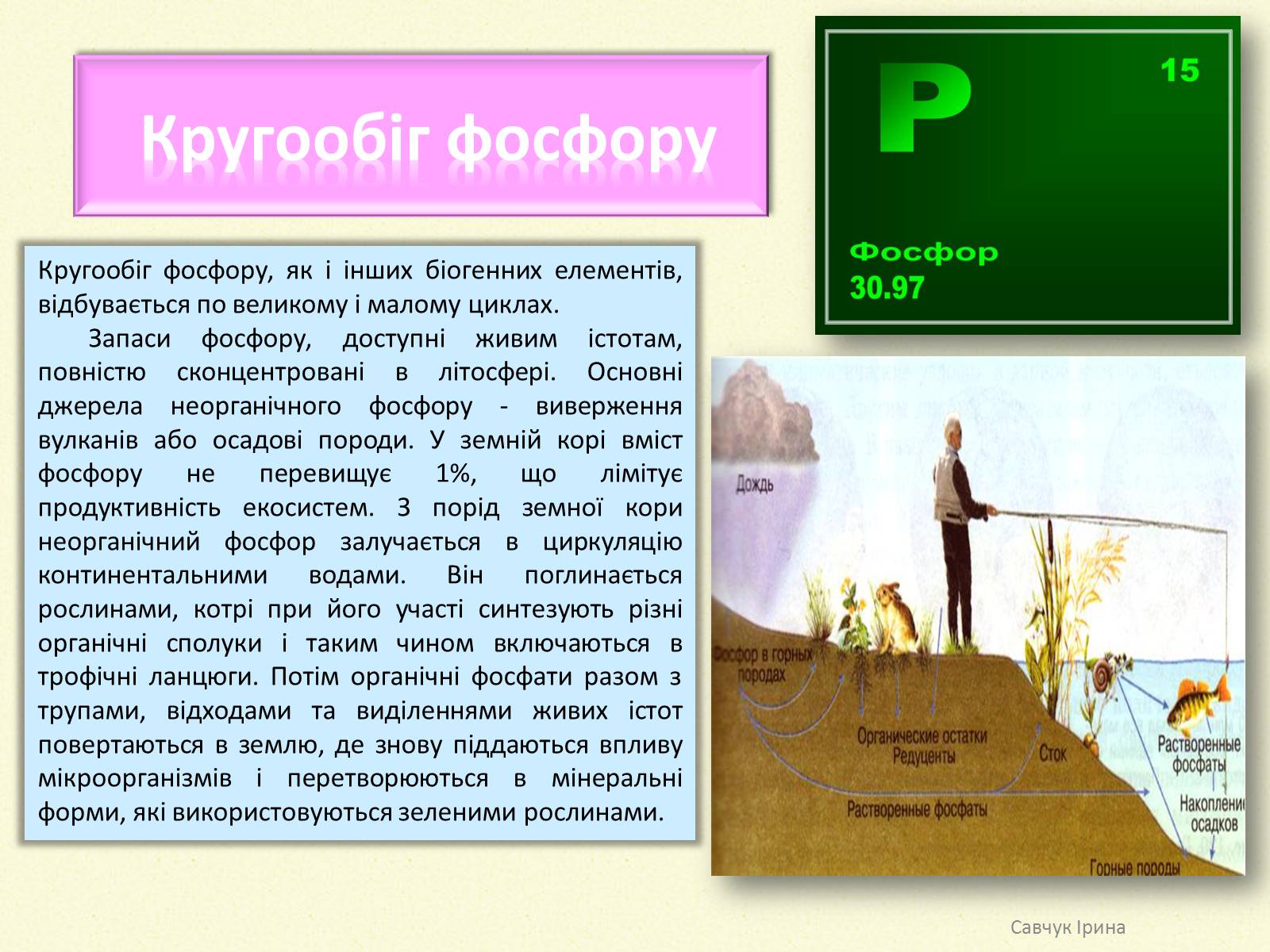 Презентація на тему «Кругообіг речовин у природі» (варіант 2) - Слайд #7 Презентація на тему «Кругообіг речовин у природі» (варіант 2) - Слайд #7