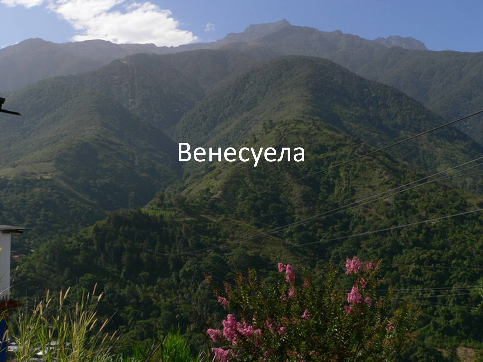 Презентація на тему «Венесуела» (варіант 1) - Слайд #1 Презентація на тему «Венесуела» (варіант 1) - Слайд #1