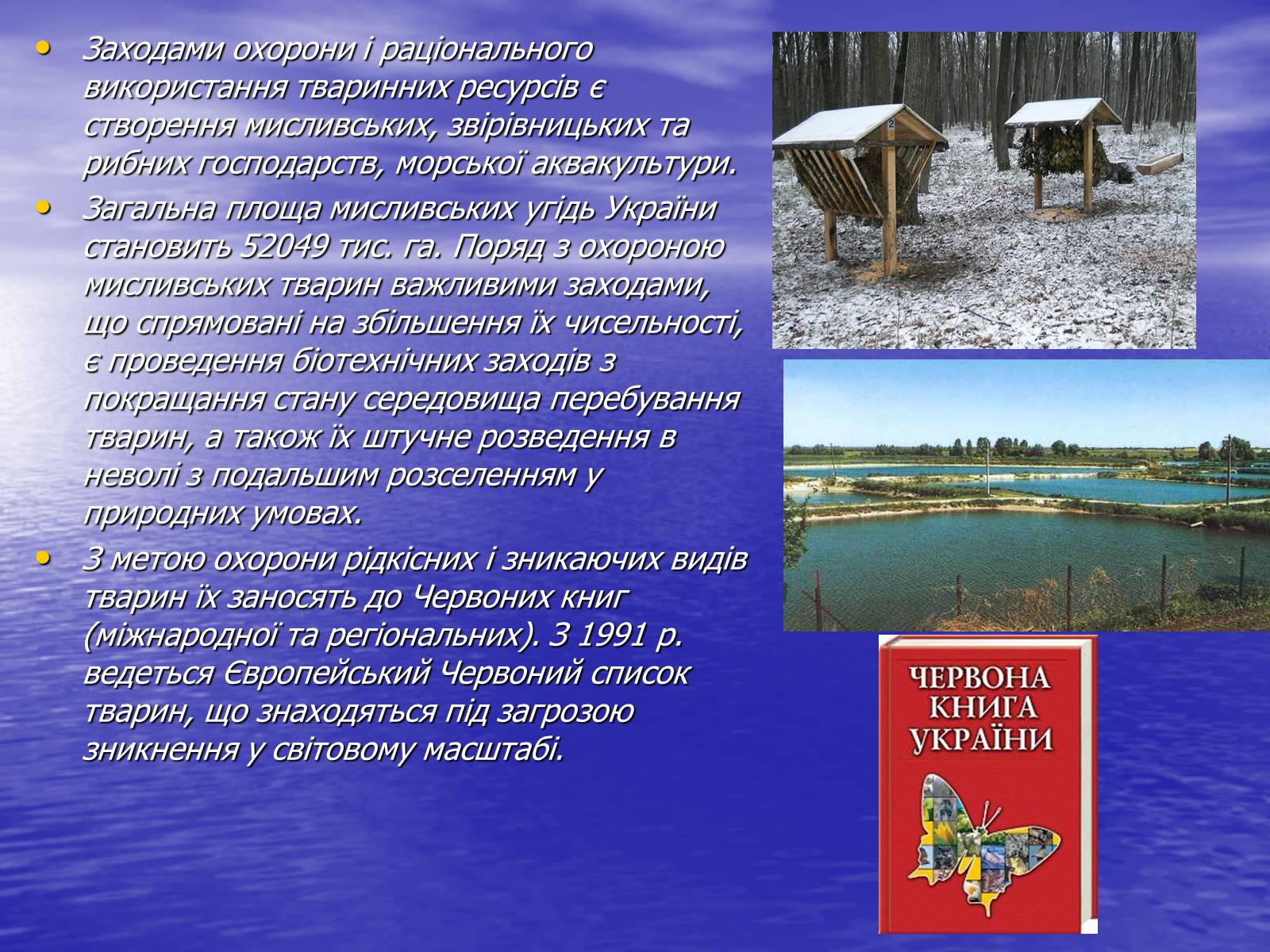 Презентація на тему «Вплив діяльності людини на природу» - Слайд #12 Презентація на тему «Вплив діяльності людини на природу» - Слайд #12