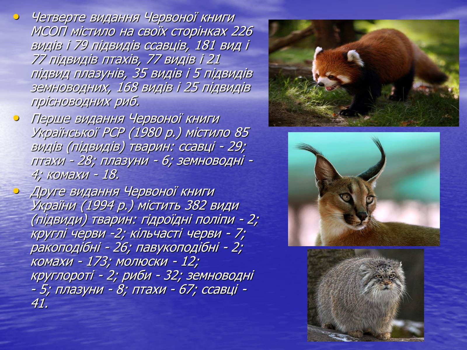Презентація на тему «Вплив діяльності людини на природу» - Слайд #13 Презентація на тему «Вплив діяльності людини на природу» - Слайд #13