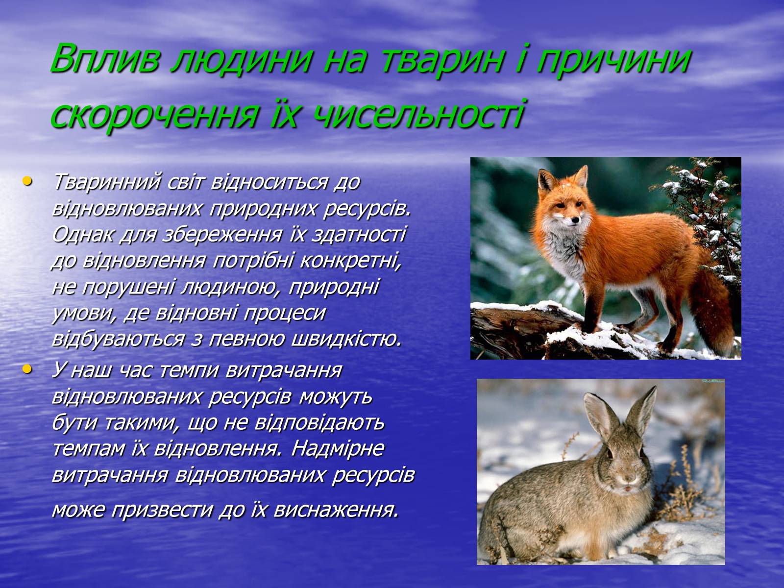 Презентація на тему «Вплив діяльності людини на природу» - Слайд #5 Презентація на тему «Вплив діяльності людини на природу» - Слайд #5