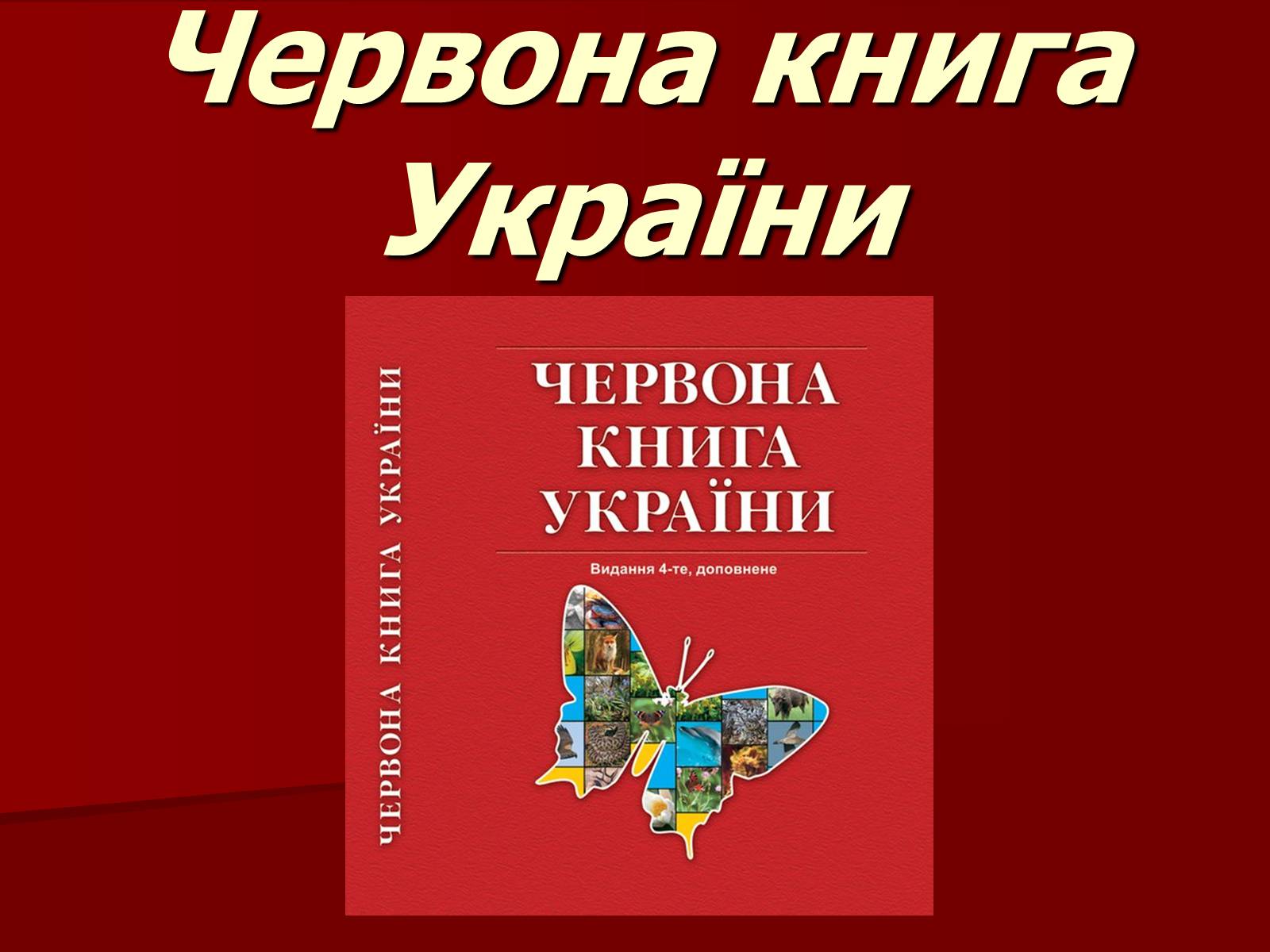 Презентація на тему «Червона книга України» (варіант 1) - Слайд #1 Презентація на тему «Червона книга України» (варіант 1) - Слайд #1