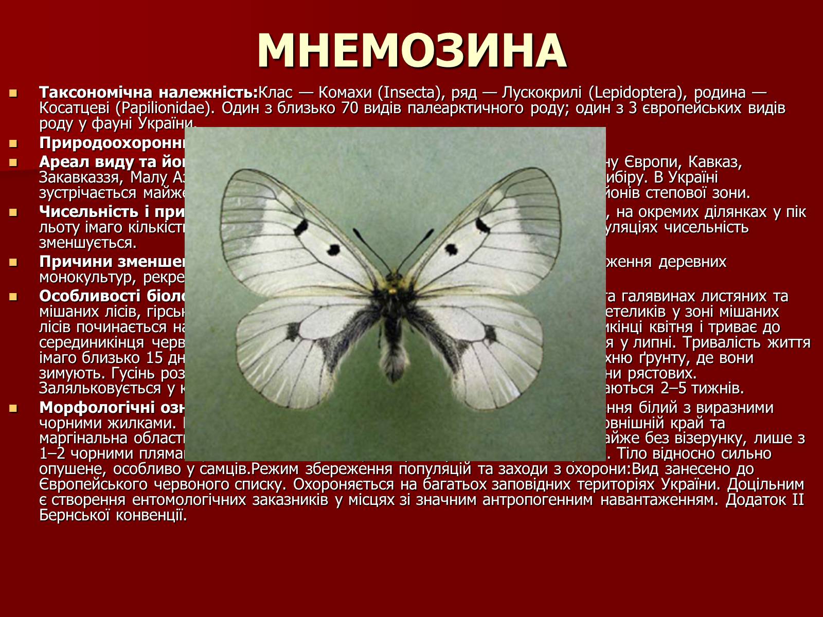 Презентація на тему «Червона книга України» (варіант 1) - Слайд #15 Презентація на тему «Червона книга України» (варіант 1) - Слайд #15