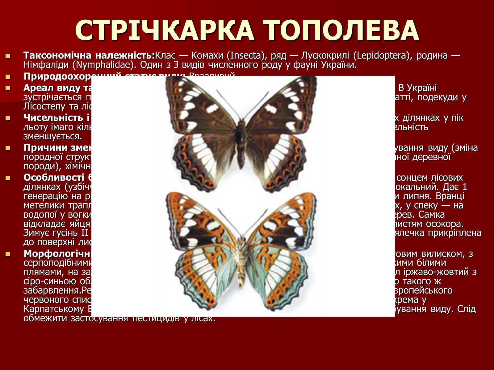 Презентація на тему «Червона книга України» (варіант 1) - Слайд #16 Презентація на тему «Червона книга України» (варіант 1) - Слайд #16