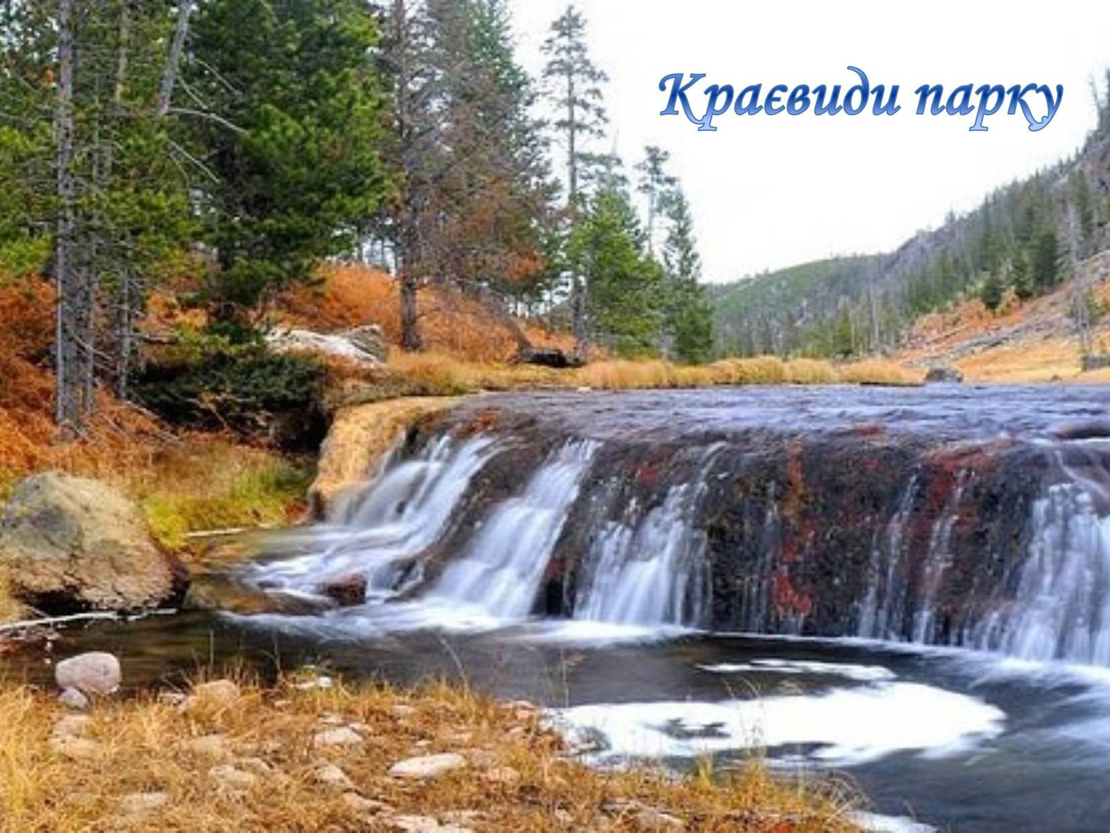 Презентація на тему «Єллоустонський національний парк» (варіант 2) - Слайд #16 Презентація на тему «Єллоустонський національний парк» (варіант 2) - Слайд #16