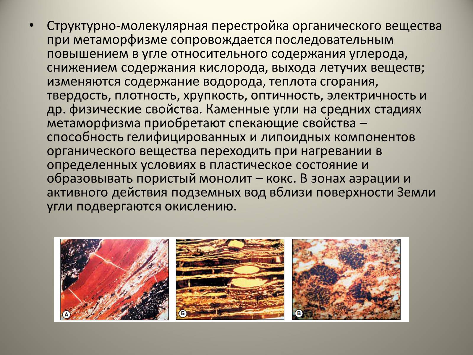 Презентація на тему «Каменный уголь. Его образование» - Слайд #11 Презентація на тему «Каменный уголь. Его образование» - Слайд #11