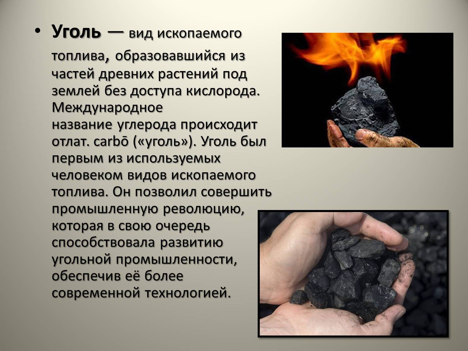 Презентація на тему «Каменный уголь. Его образование» - Слайд #2 Презентація на тему «Каменный уголь. Его образование» - Слайд #2