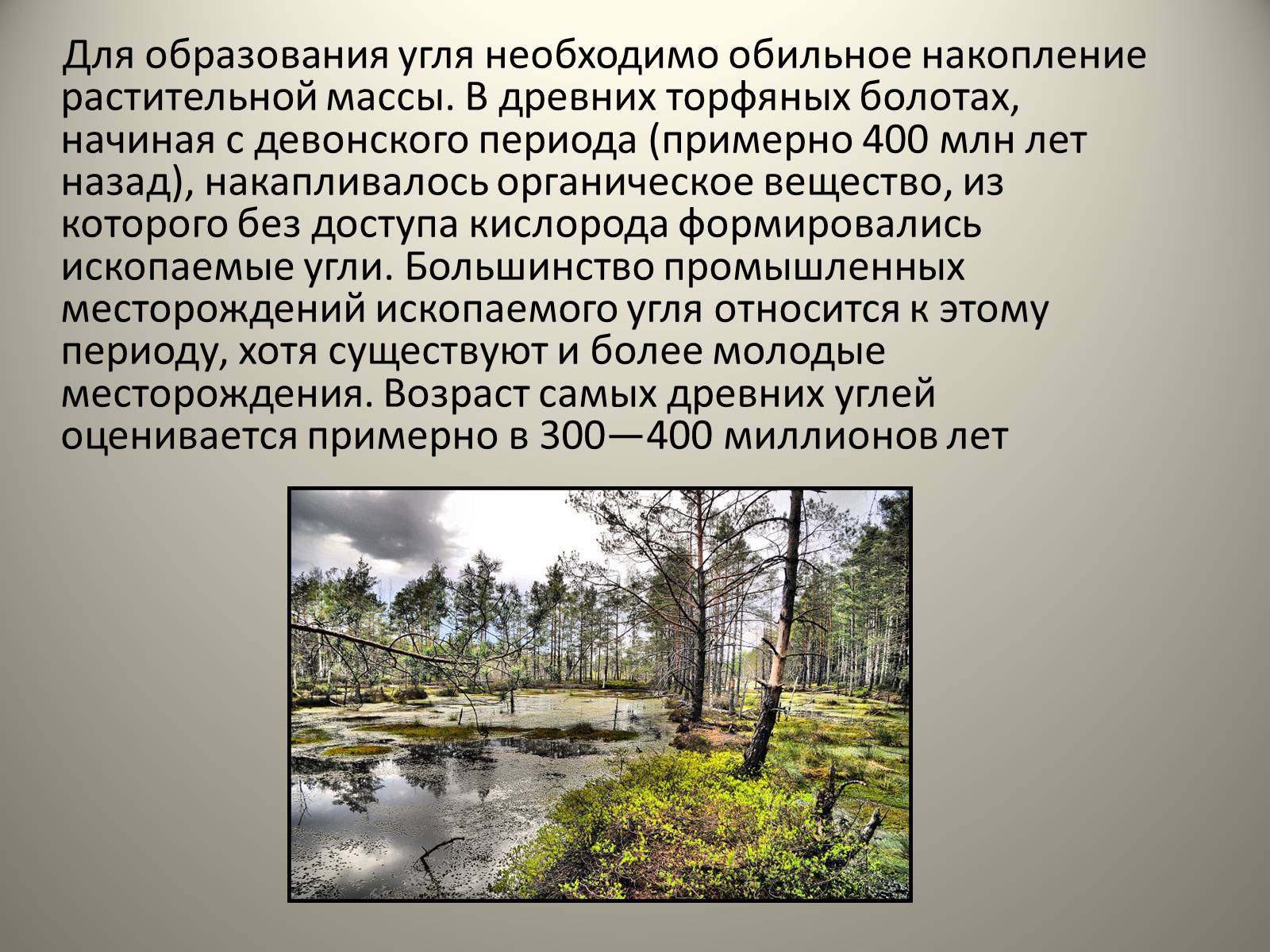 Презентація на тему «Каменный уголь. Его образование» - Слайд #4 Презентація на тему «Каменный уголь. Его образование» - Слайд #4