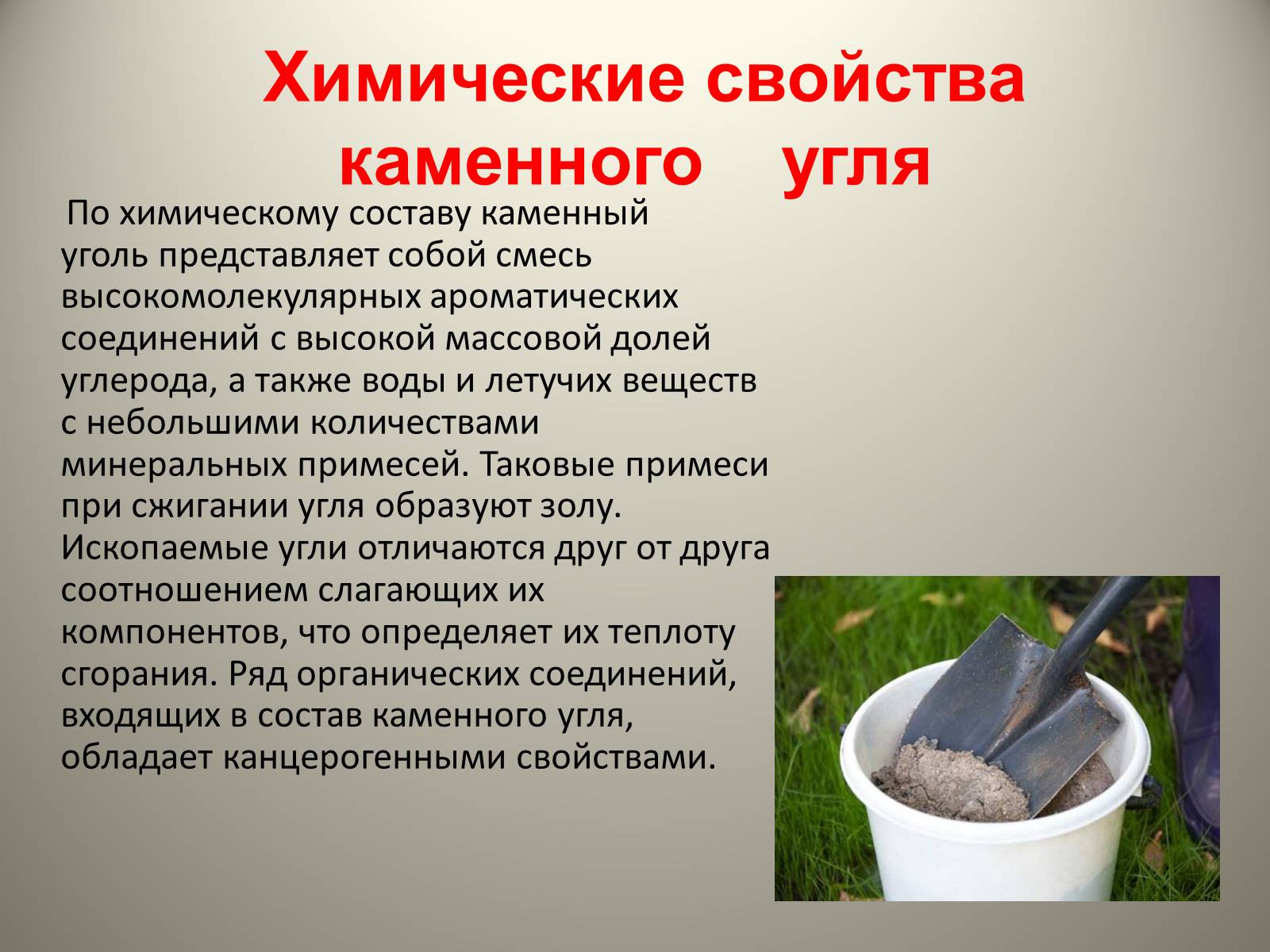 Презентація на тему «Каменный уголь. Его образование» - Слайд #5 Презентація на тему «Каменный уголь. Его образование» - Слайд #5