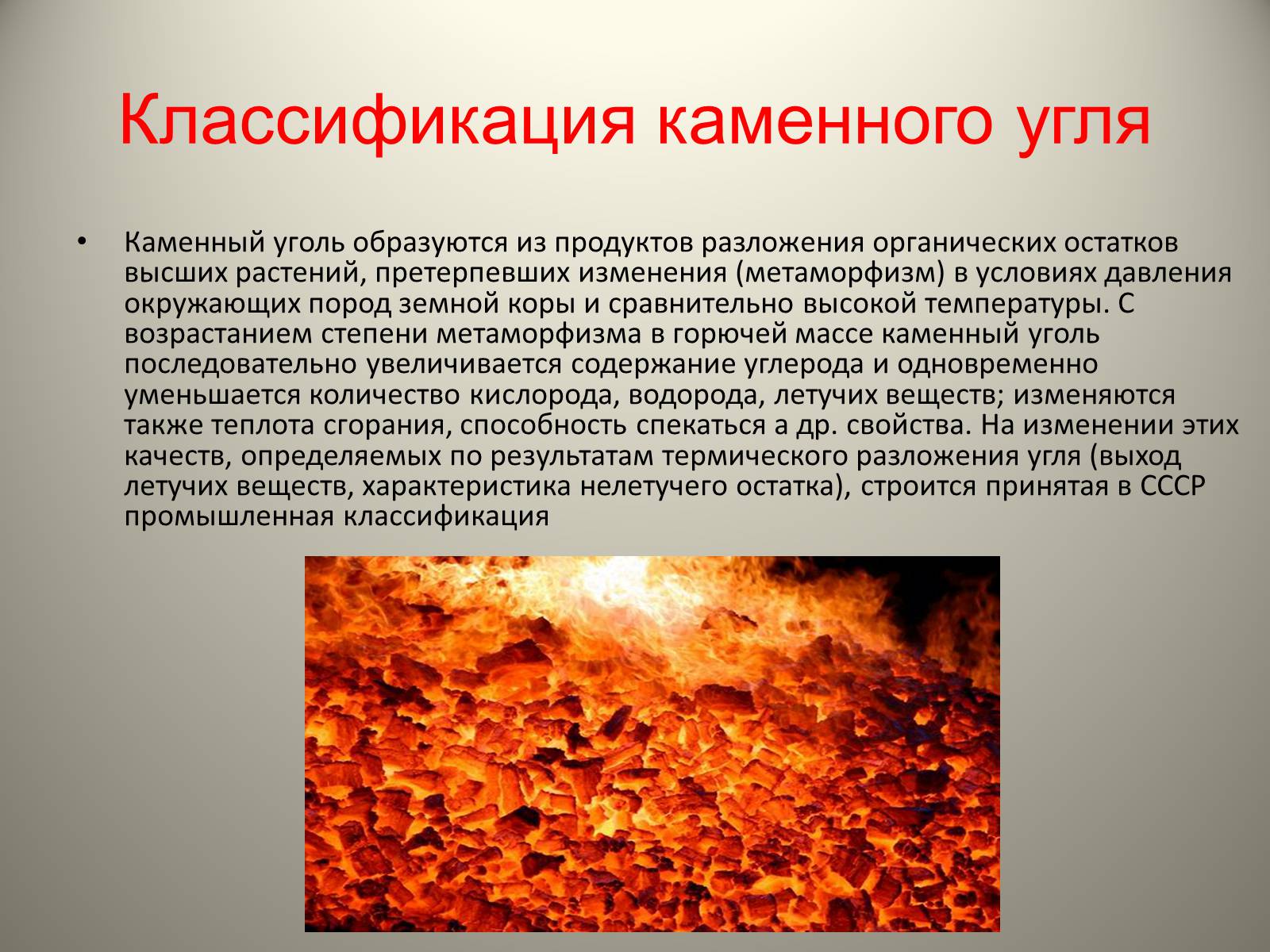 Презентація на тему «Каменный уголь. Его образование» - Слайд #7 Презентація на тему «Каменный уголь. Его образование» - Слайд #7