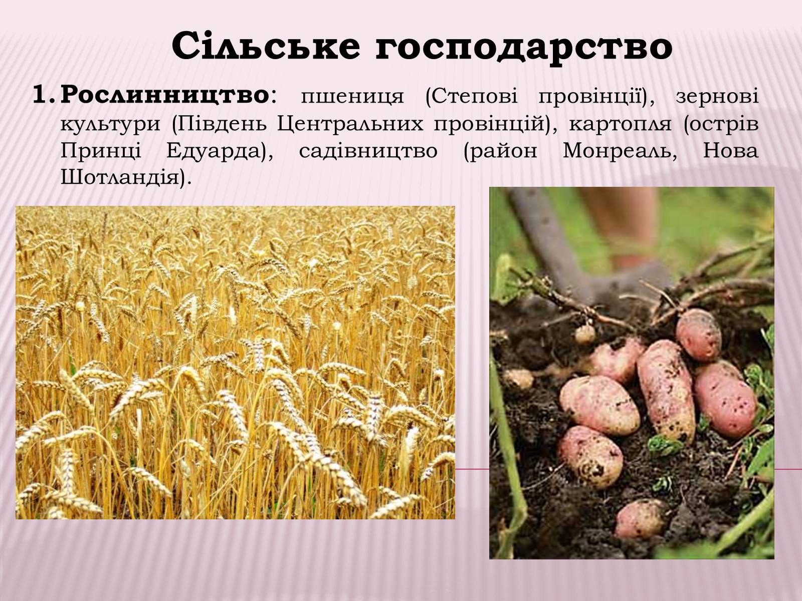 Презентація на тему «Канада» (варіант 1) - Слайд #23 Презентація на тему «Канада» (варіант 1) - Слайд #23