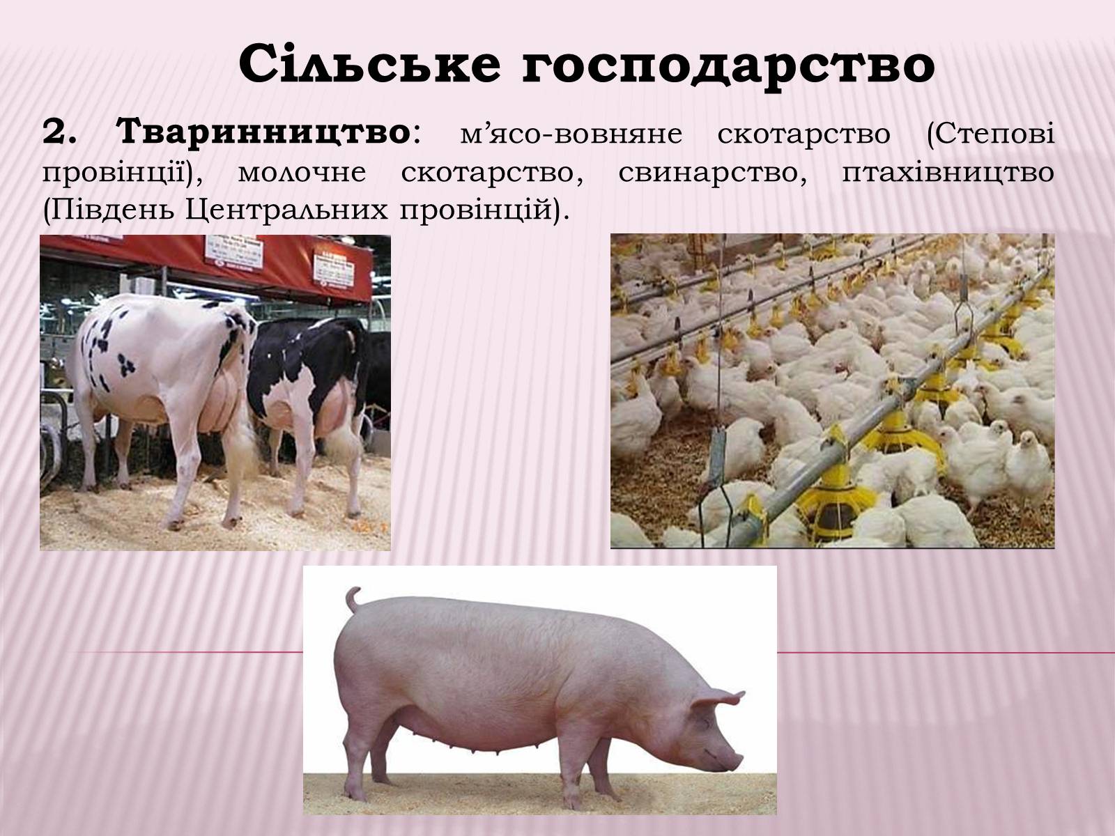 Презентація на тему «Канада» (варіант 1) - Слайд #24 Презентація на тему «Канада» (варіант 1) - Слайд #24