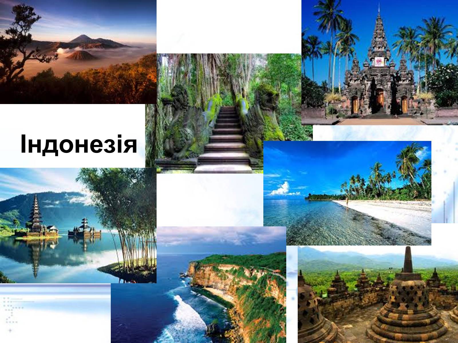 Презентація на тему «Нові індустріальні країни Азії» - Слайд #33 Презентація на тему «Нові індустріальні країни Азії» - Слайд #33