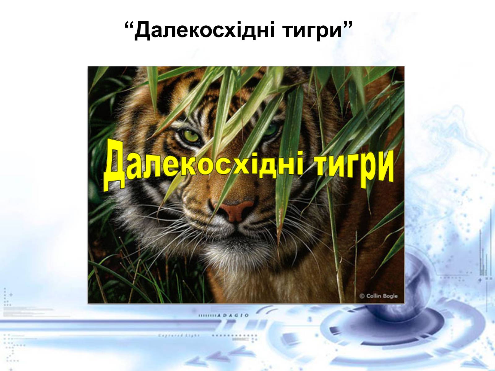 Презентація на тему «Нові індустріальні країни Азії» - Слайд #6 Презентація на тему «Нові індустріальні країни Азії» - Слайд #6