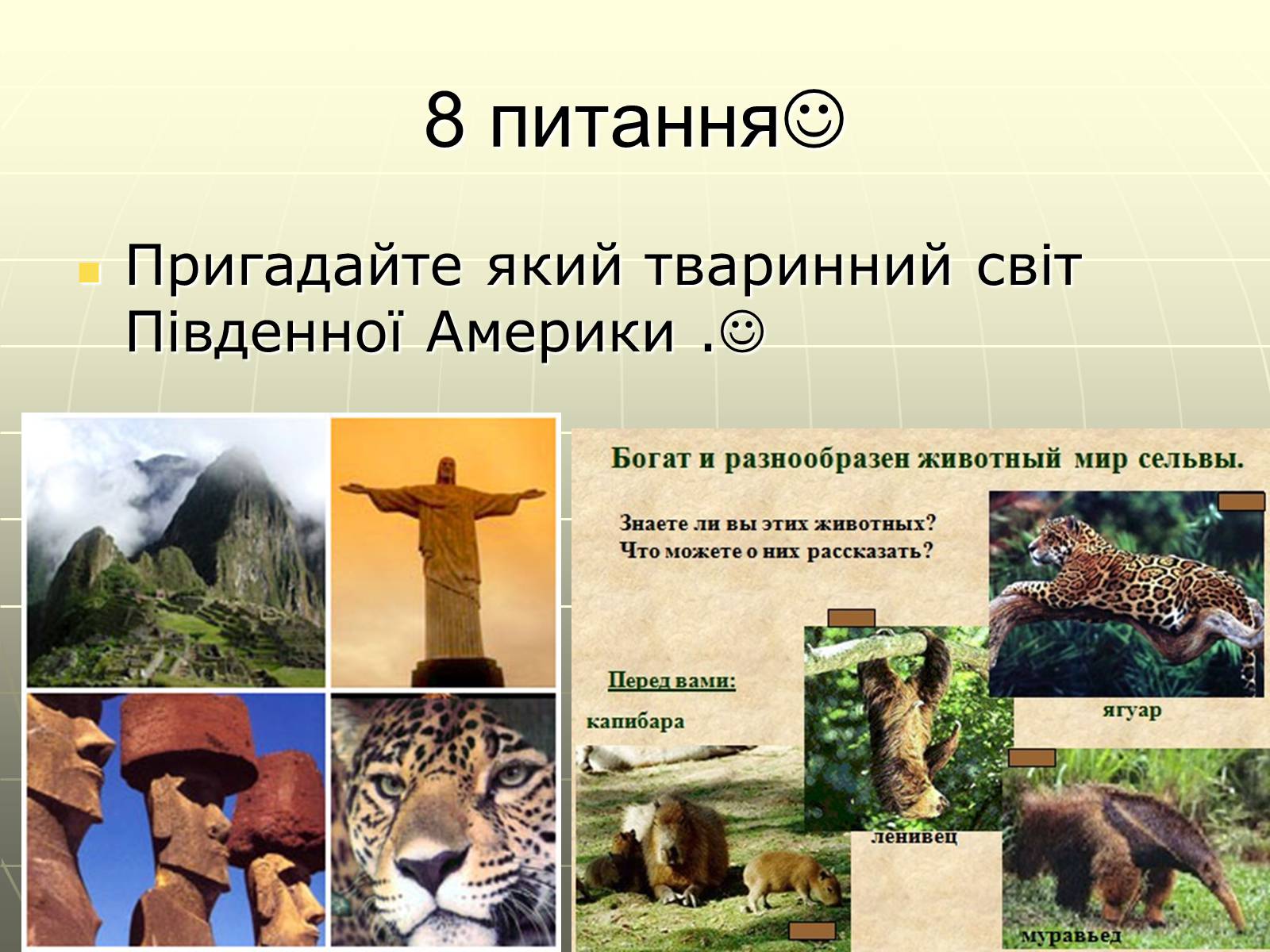 Презентація на тему «Австралія. Південна Америка» - Слайд #17 Презентація на тему «Австралія. Південна Америка» - Слайд #17