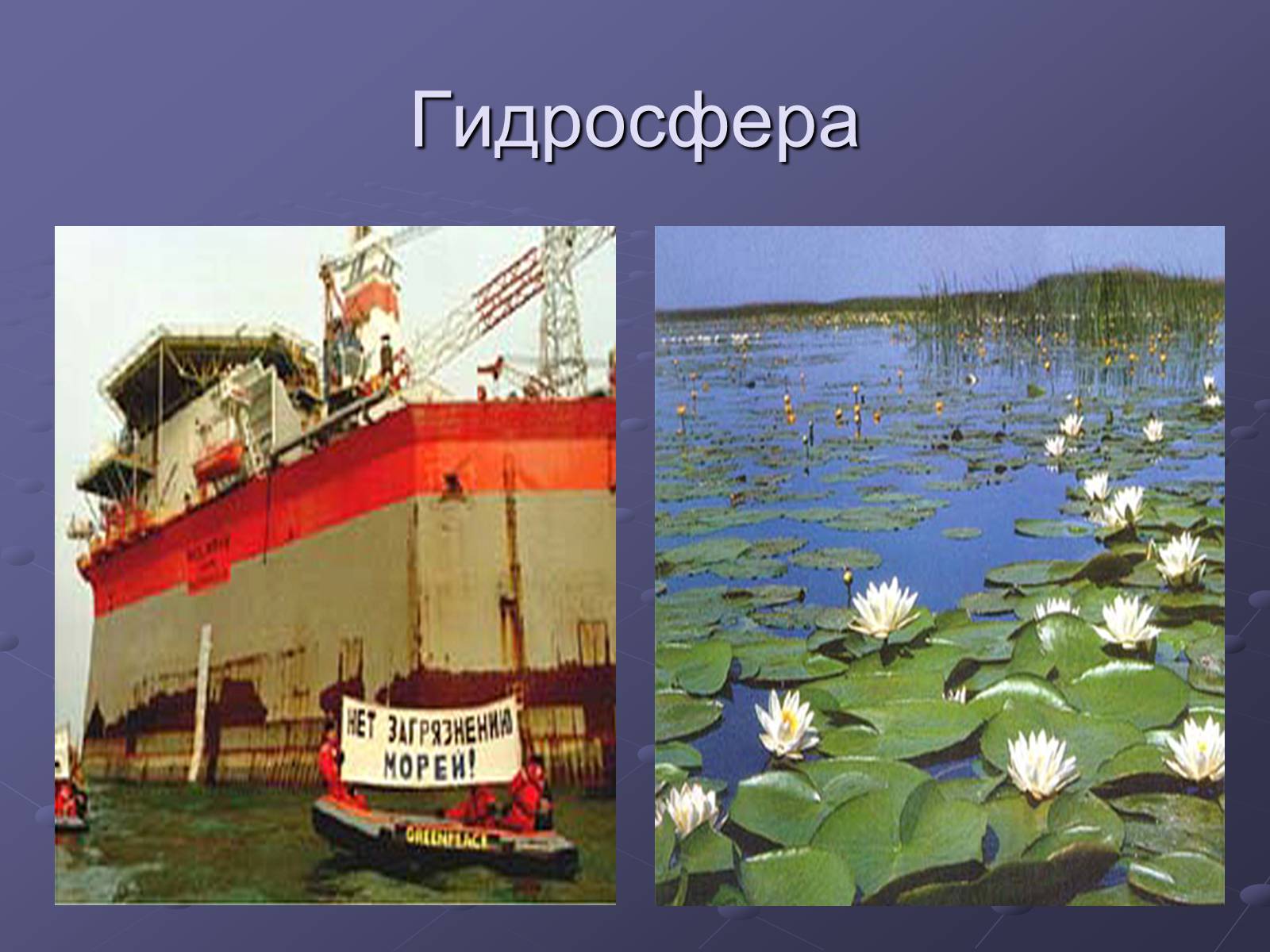 Презентація на тему «Загрязнение и охрана окружающей среды» - Слайд #10 Презентація на тему «Загрязнение и охрана окружающей среды» - Слайд #10