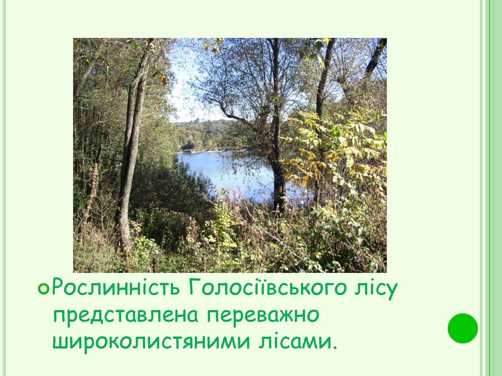 Презентація на тему «Національні парки України» - Слайд #12 Презентація на тему «Національні парки України» - Слайд #12
