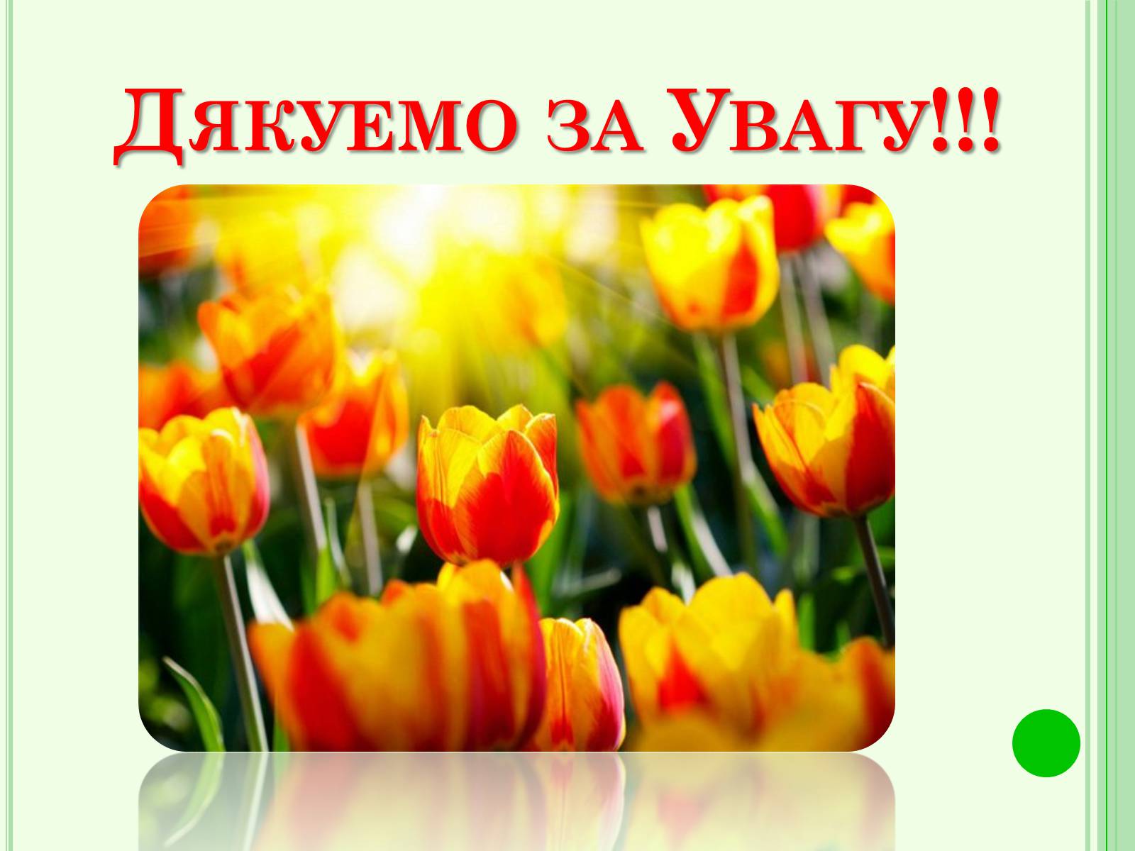 Презентація на тему «Національні парки України» - Слайд #20 Презентація на тему «Національні парки України» - Слайд #20