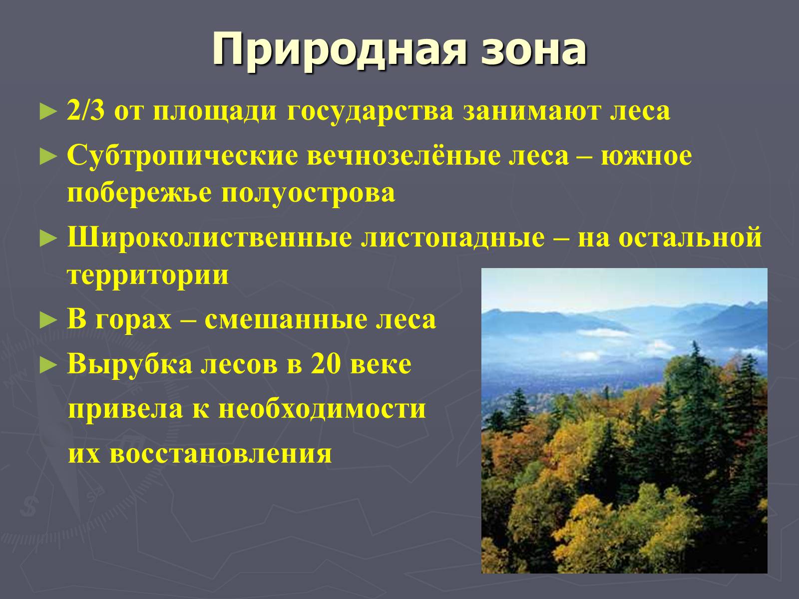 Презентація на тему «Южная Корея» - Слайд #13 Презентація на тему «Южная Корея» - Слайд #13