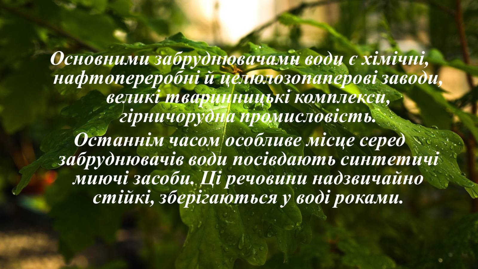 Презентація на тему «Вплив діяльності людини на гідросферу» - Слайд #17 Презентація на тему «Вплив діяльності людини на гідросферу» - Слайд #17