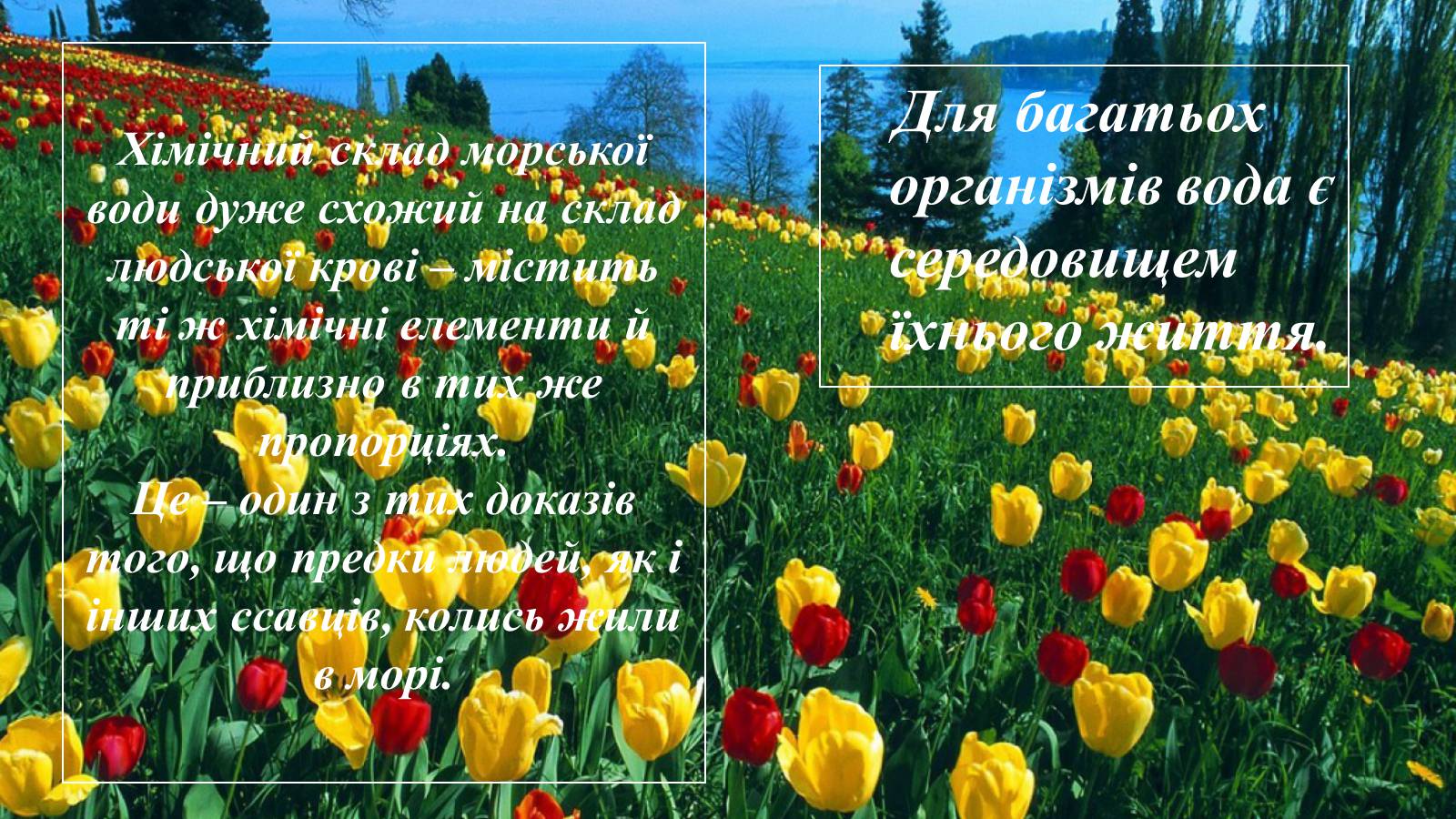 Презентація на тему «Вплив діяльності людини на гідросферу» - Слайд #5 Презентація на тему «Вплив діяльності людини на гідросферу» - Слайд #5