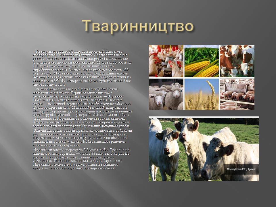 Презентація на тему «Франція» (варіант 41) - Слайд #7 Презентація на тему «Франція» (варіант 41) - Слайд #7