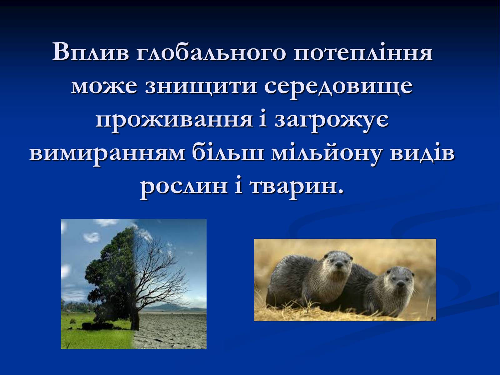 Презентація на тему «Глобальне потепління» (варіант 10) - Слайд #8 Презентація на тему «Глобальне потепління» (варіант 10) - Слайд #8