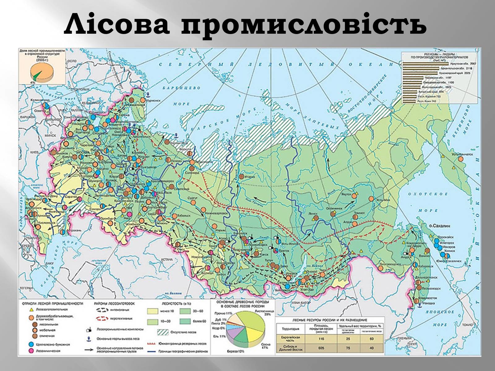 Презентація на тему «Росія» (варіант 1) - Слайд #31