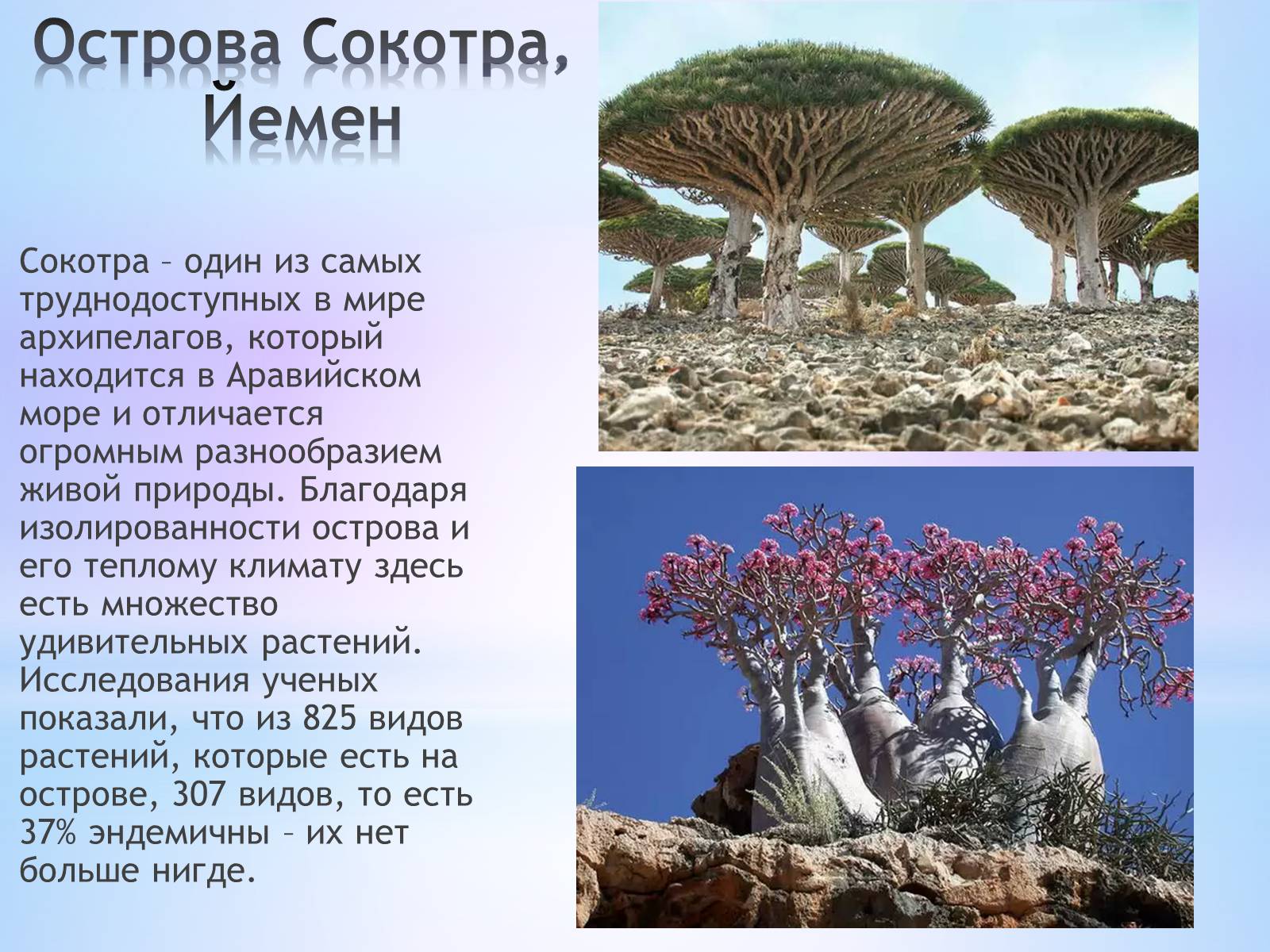 Презентація на тему «Удивительные места планеты» - Слайд #20 Презентація на тему «Удивительные места планеты» - Слайд #20