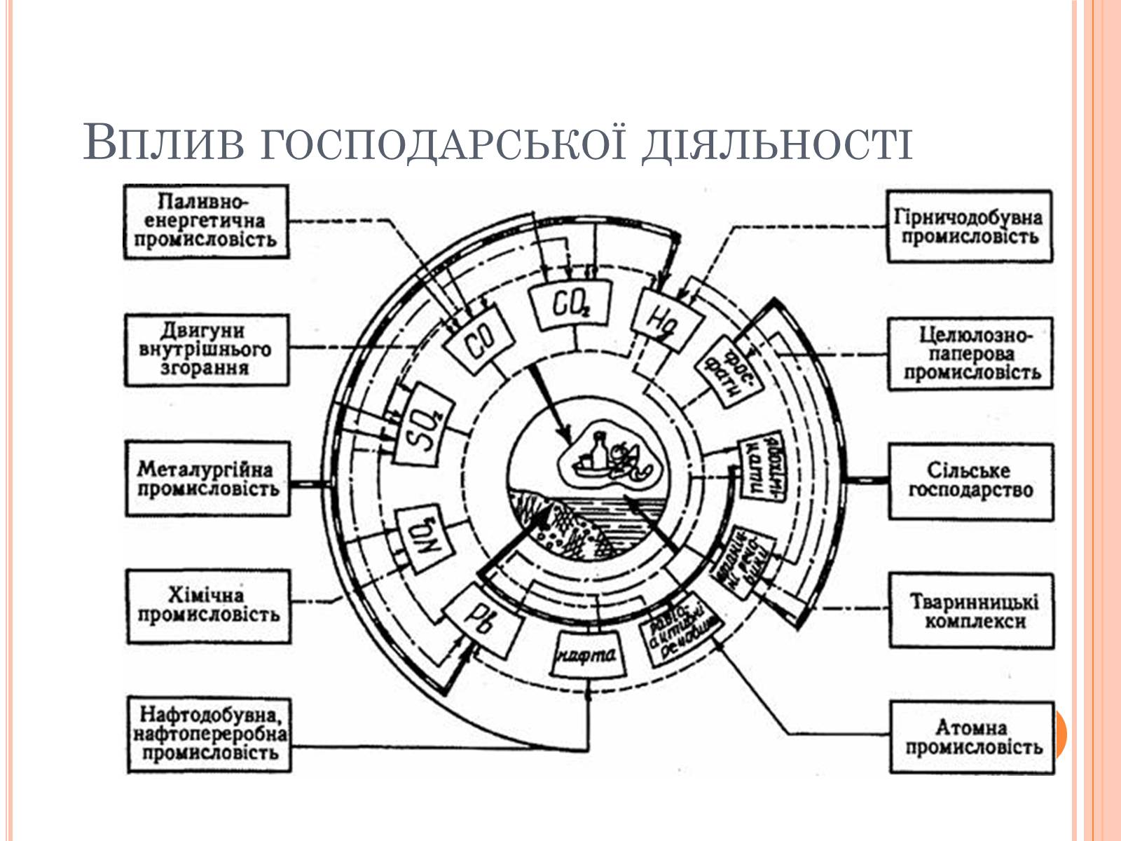 Презентація на тему «Колообіг речовин і потоки енергії» - Слайд #10 Презентація на тему «Колообіг речовин і потоки енергії» - Слайд #10