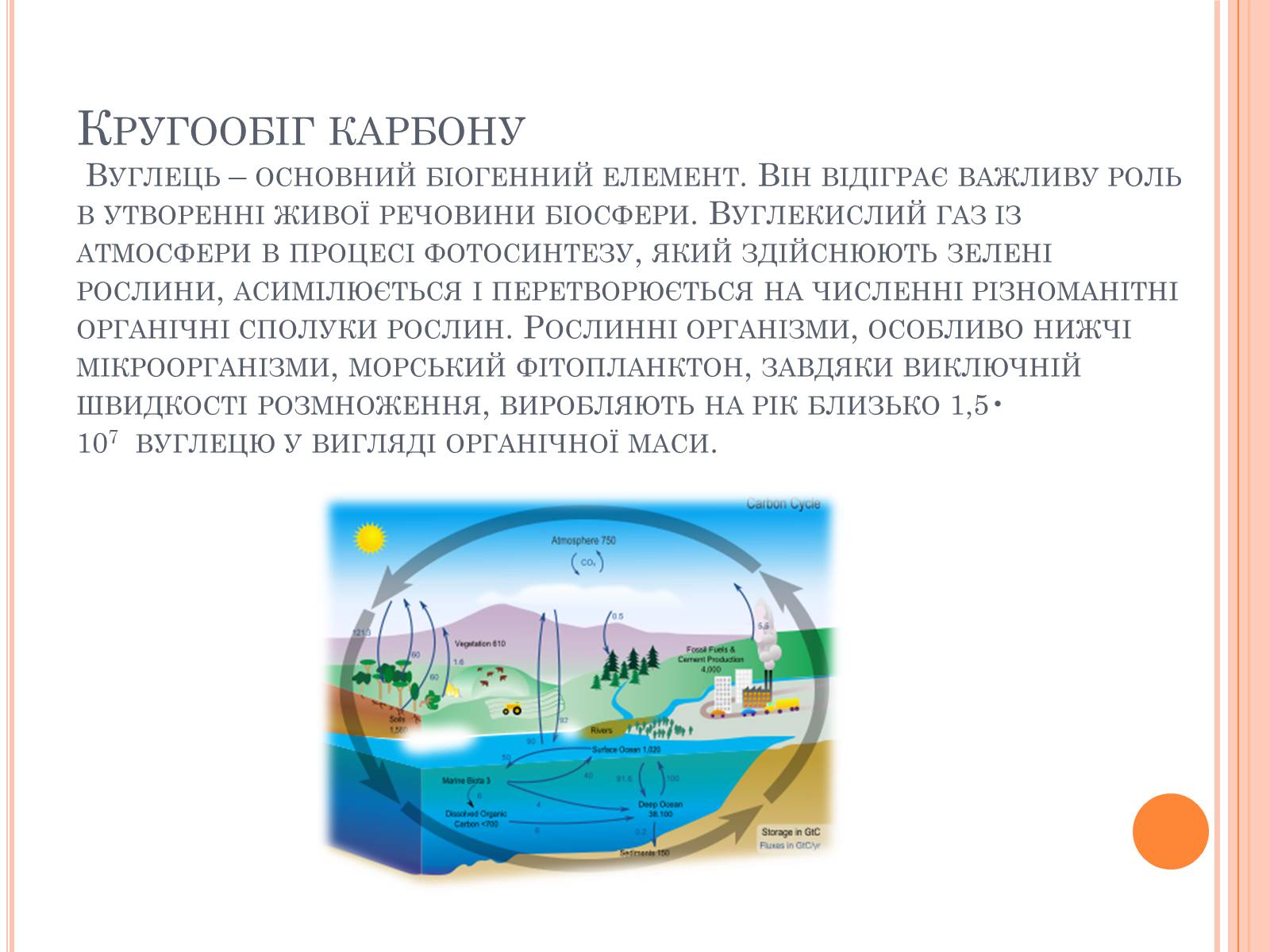 Презентація на тему «Колообіг речовин і потоки енергії» - Слайд #28 Презентація на тему «Колообіг речовин і потоки енергії» - Слайд #28