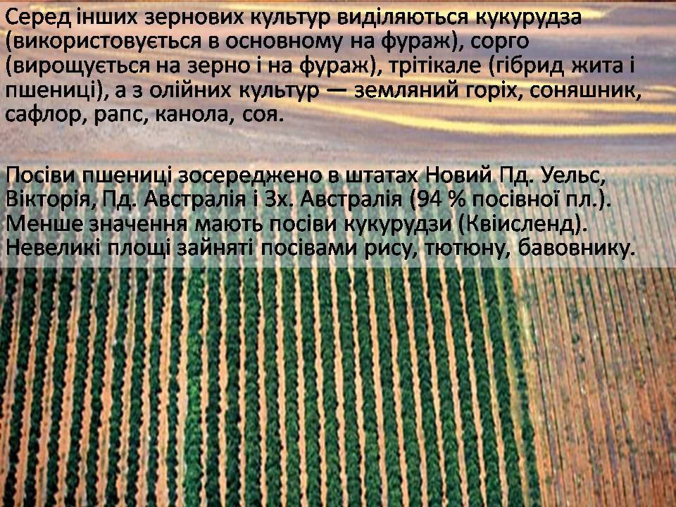 Презентація на тему «Австралія» (варіант 21) - Слайд #28 Презентація на тему «Австралія» (варіант 21) - Слайд #28