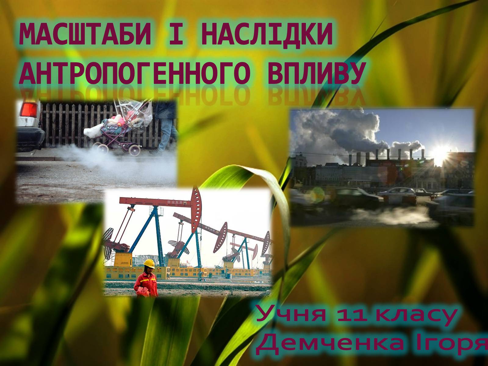 Презентація на тему «Масштаби і наслідки антропогенного впливу» - Слайд #1 Презентація на тему «Масштаби і наслідки антропогенного впливу» - Слайд #1