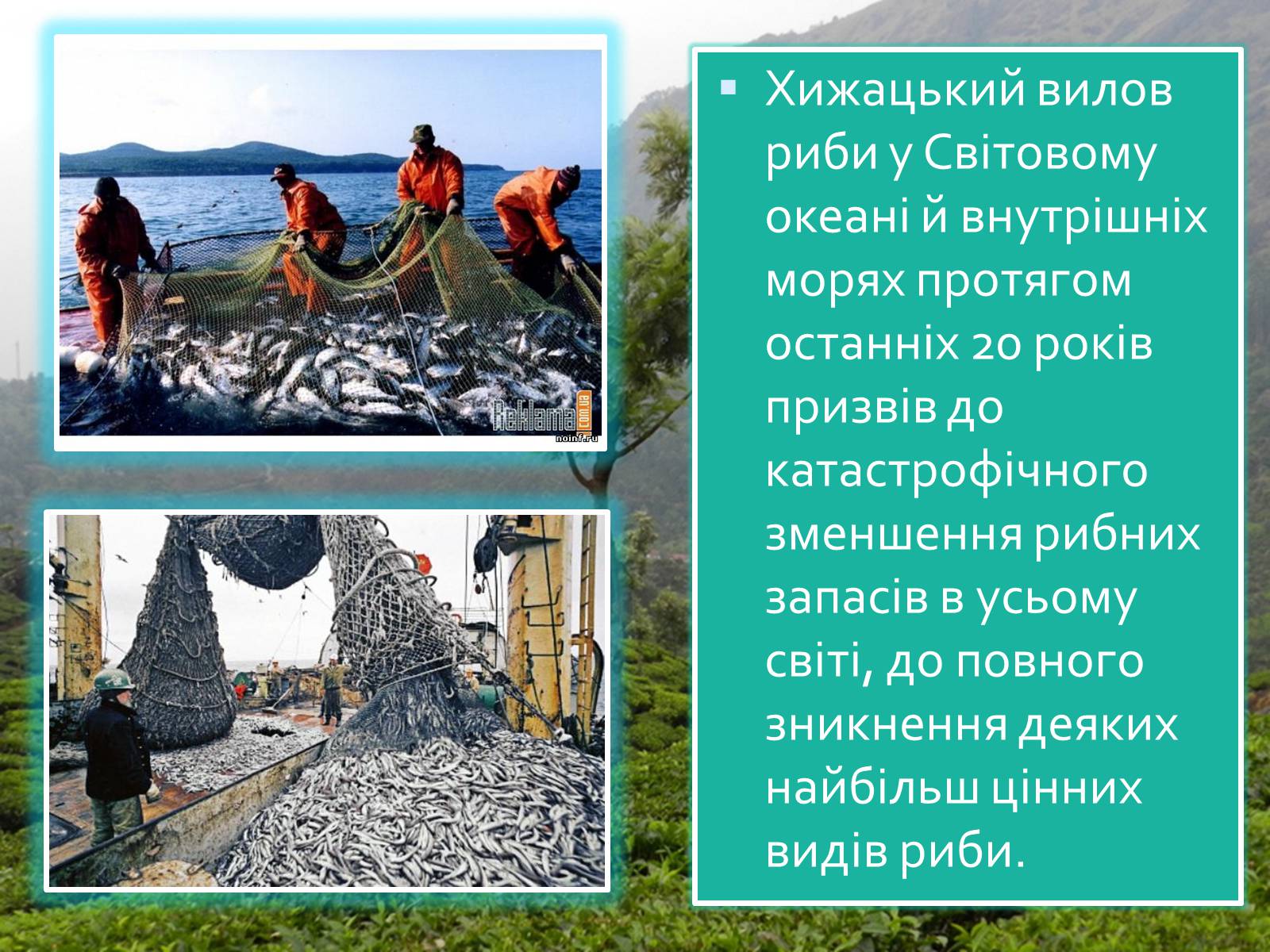 Презентація на тему «Масштаби і наслідки антропогенного впливу» - Слайд #10 Презентація на тему «Масштаби і наслідки антропогенного впливу» - Слайд #10