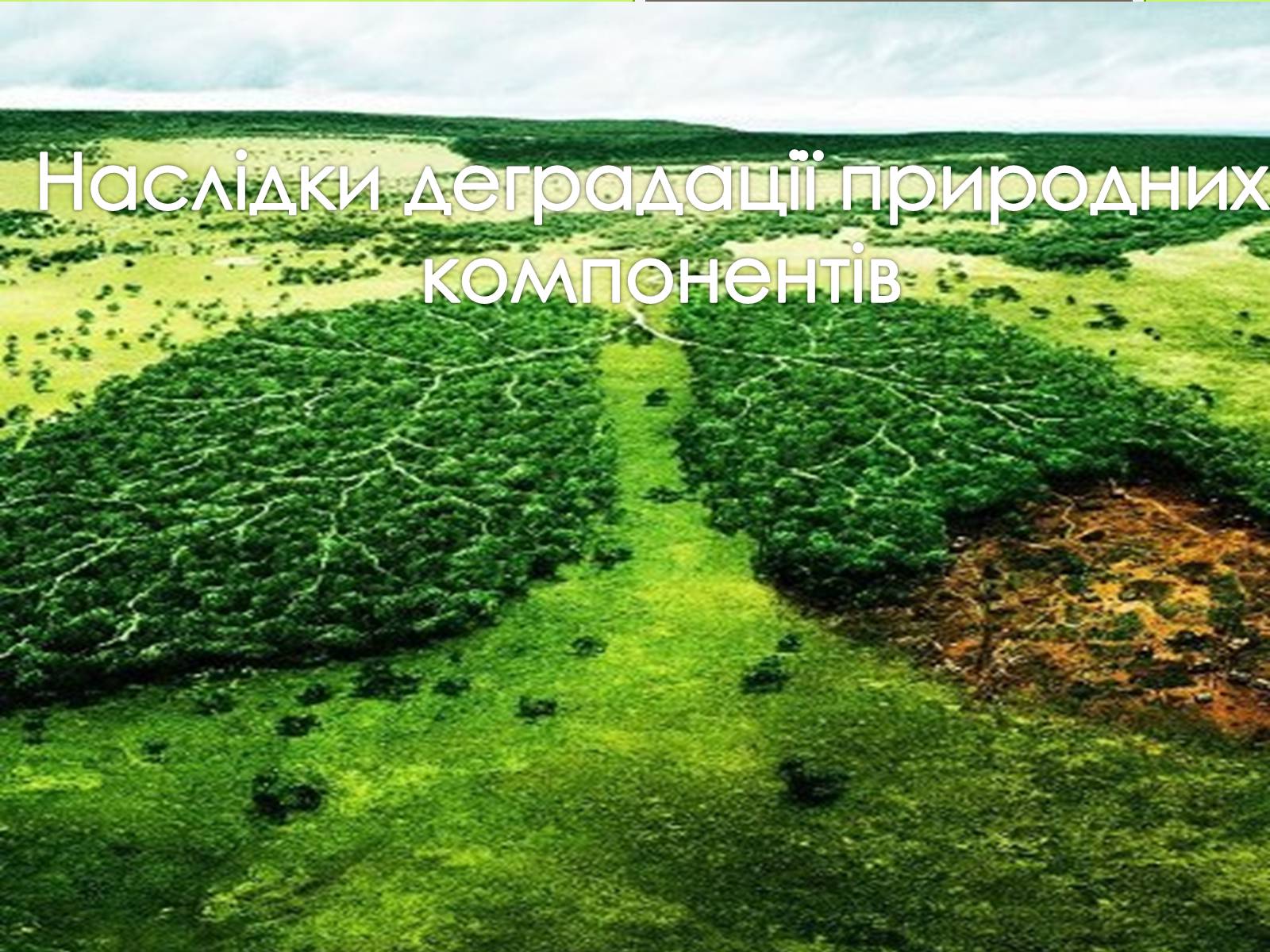 Презентація на тему «Наслідки деградації природних компонентів» - Слайд #1 Презентація на тему «Наслідки деградації природних компонентів» - Слайд #1