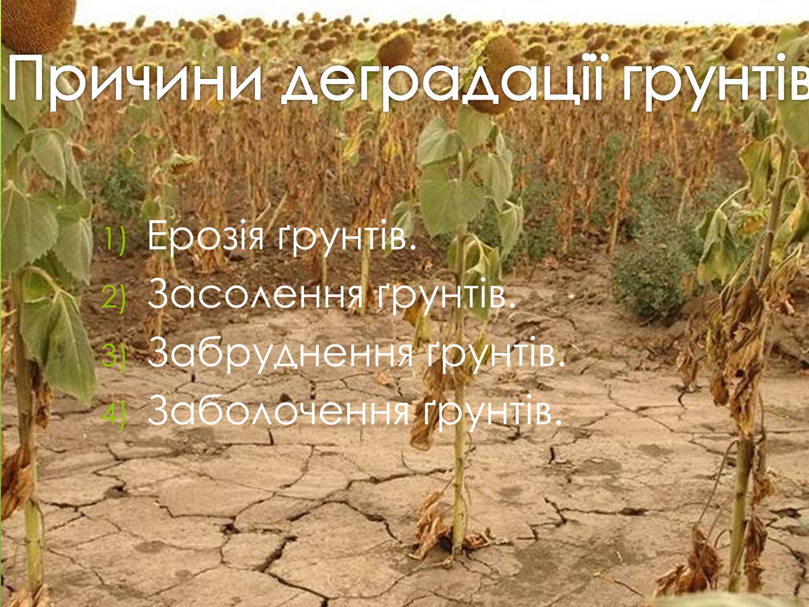 Презентація на тему «Наслідки деградації природних компонентів» - Слайд #14 Презентація на тему «Наслідки деградації природних компонентів» - Слайд #14