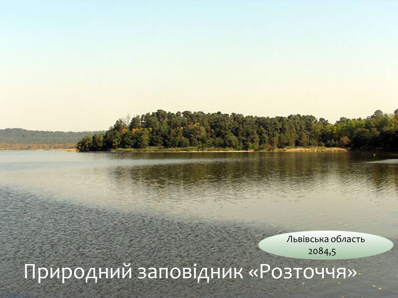 Презентація на тему «Заповідна мережа України» (варіант 6) - Слайд #18 Презентація на тему «Заповідна мережа України» (варіант 6) - Слайд #18