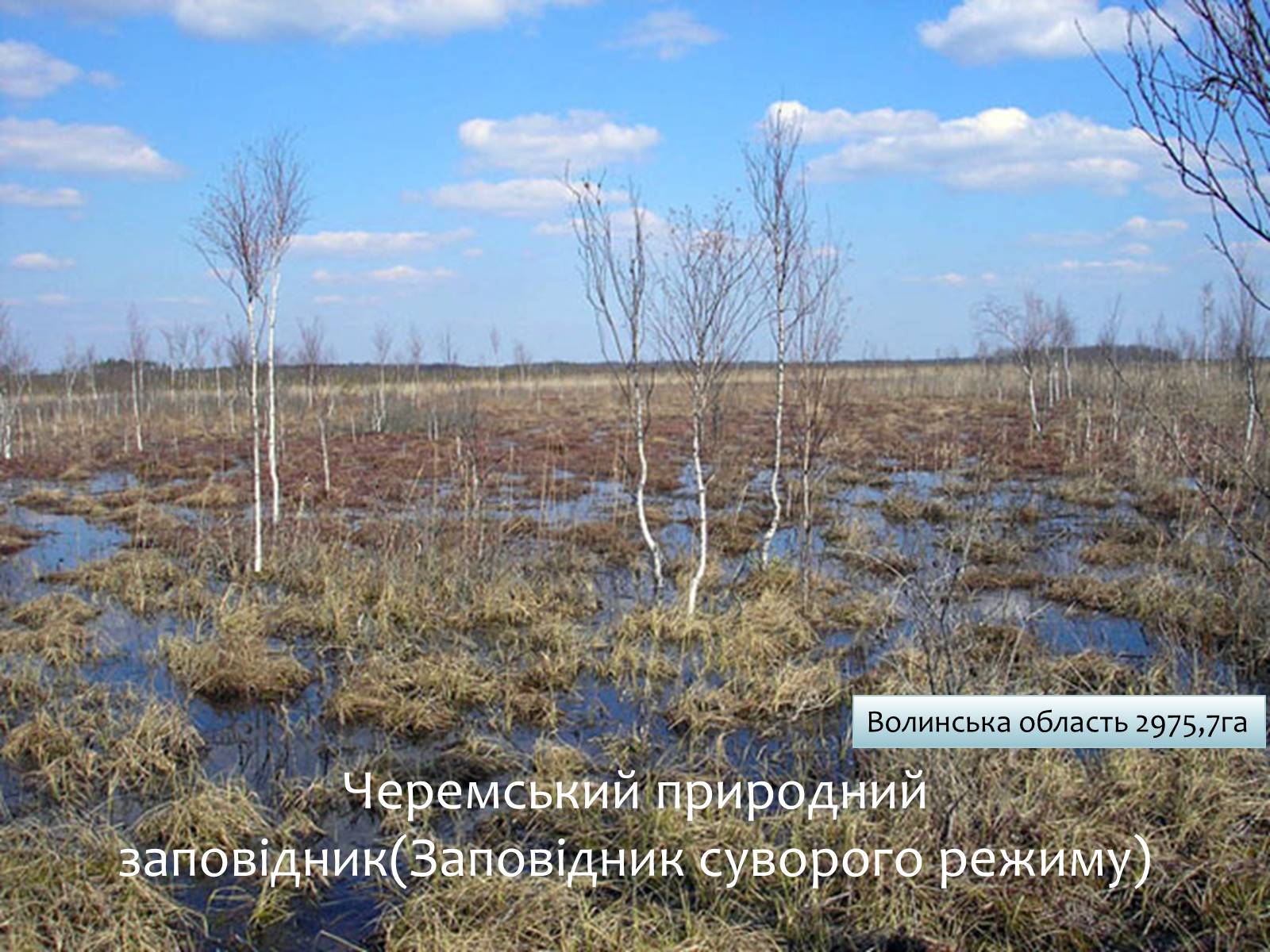 Презентація на тему «Заповідна мережа України» (варіант 6) - Слайд #22 Презентація на тему «Заповідна мережа України» (варіант 6) - Слайд #22
