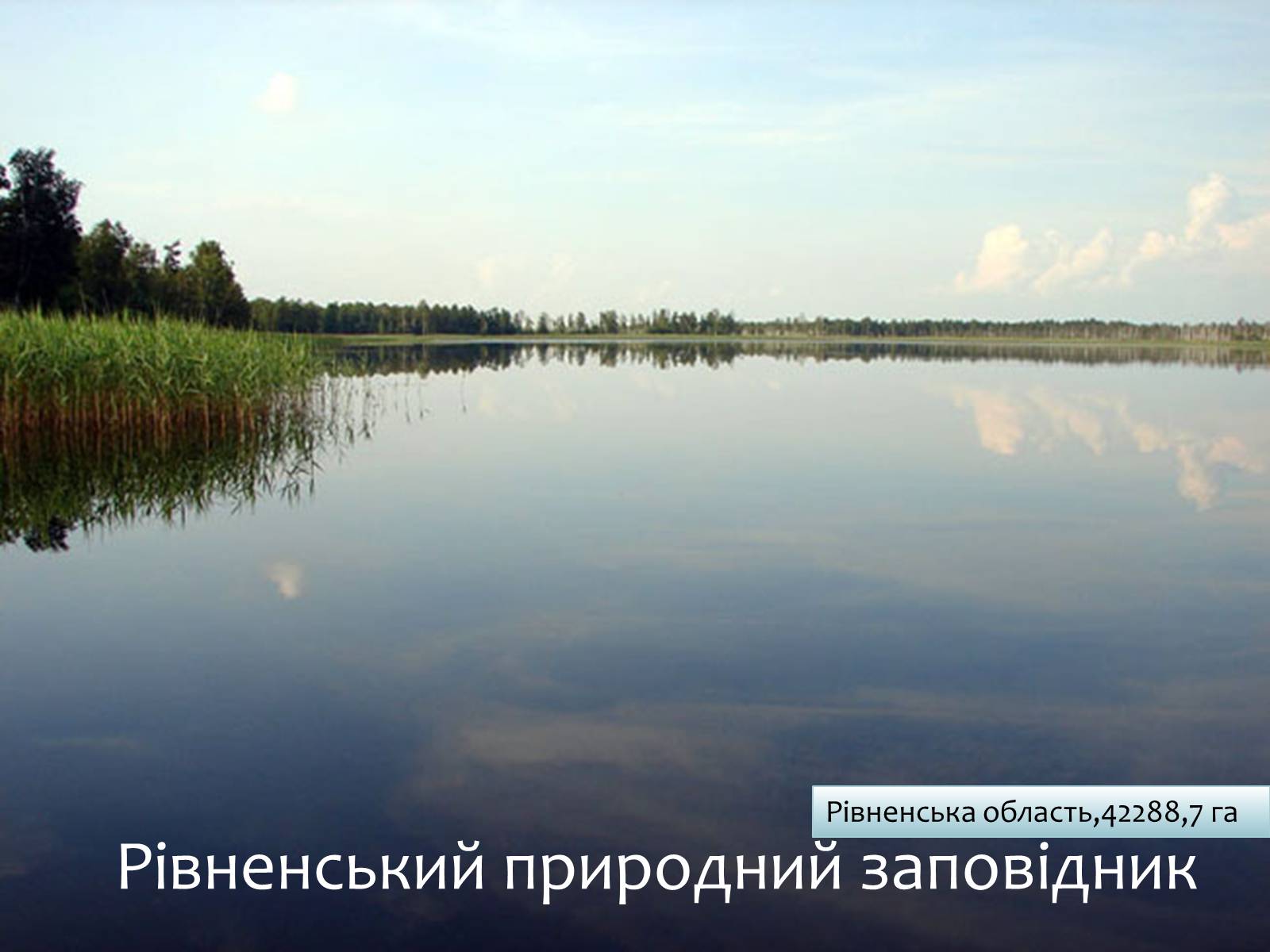 Презентація на тему «Заповідна мережа України» (варіант 6) - Слайд #23 Презентація на тему «Заповідна мережа України» (варіант 6) - Слайд #23