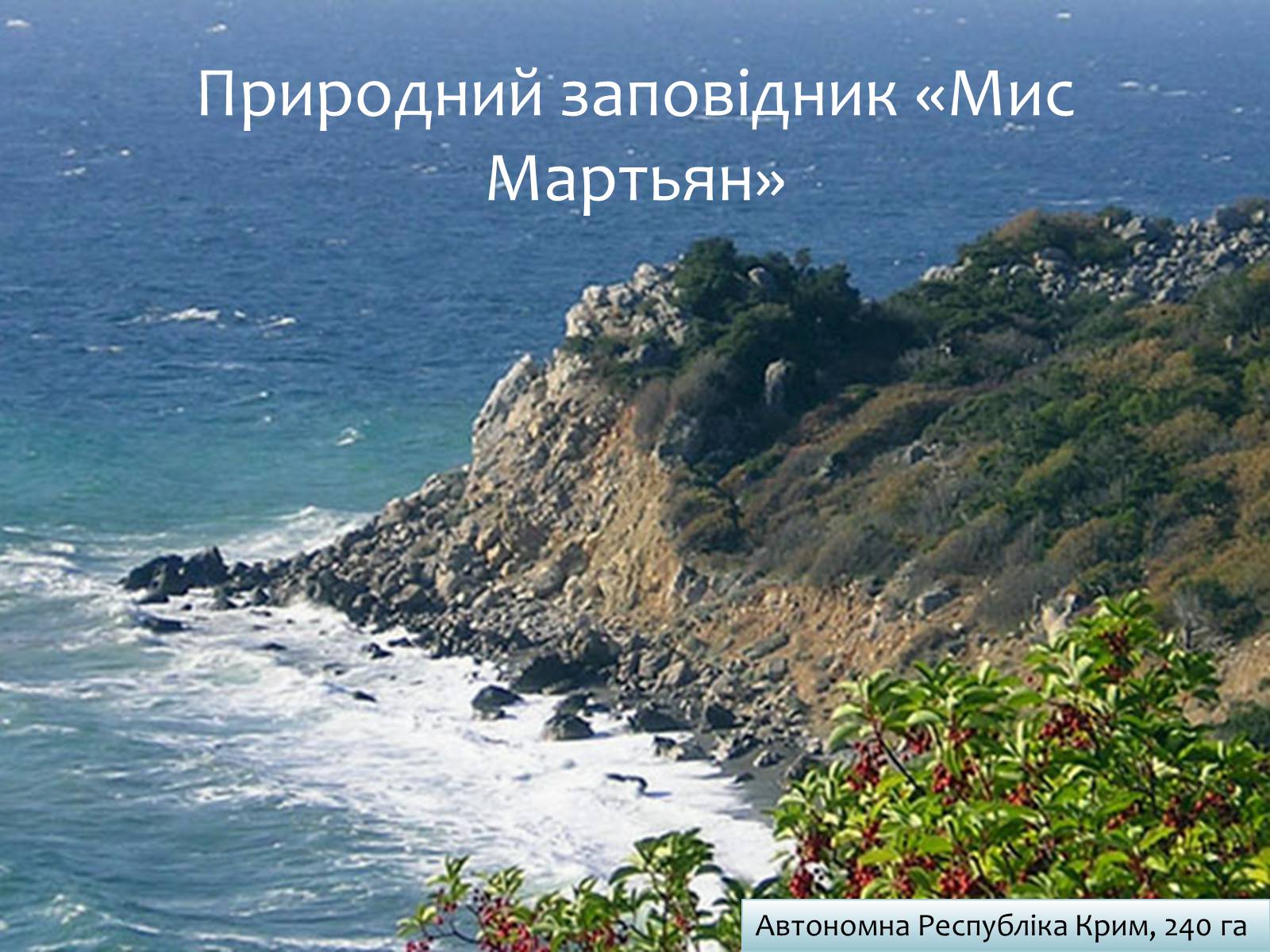 Презентація на тему «Заповідна мережа України» (варіант 6) - Слайд #27 Презентація на тему «Заповідна мережа України» (варіант 6) - Слайд #27