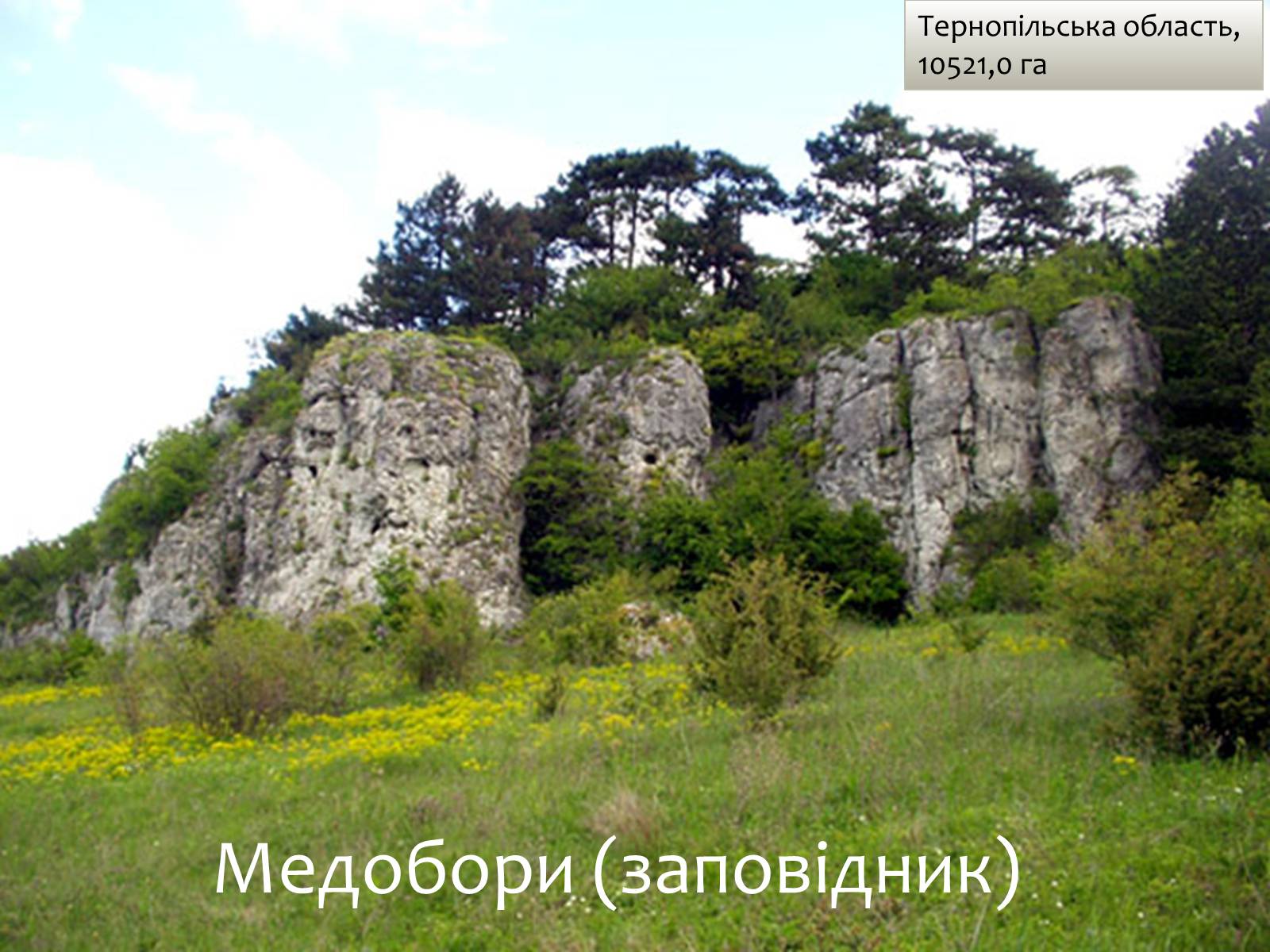 Презентація на тему «Заповідна мережа України» (варіант 6) - Слайд #28 Презентація на тему «Заповідна мережа України» (варіант 6) - Слайд #28