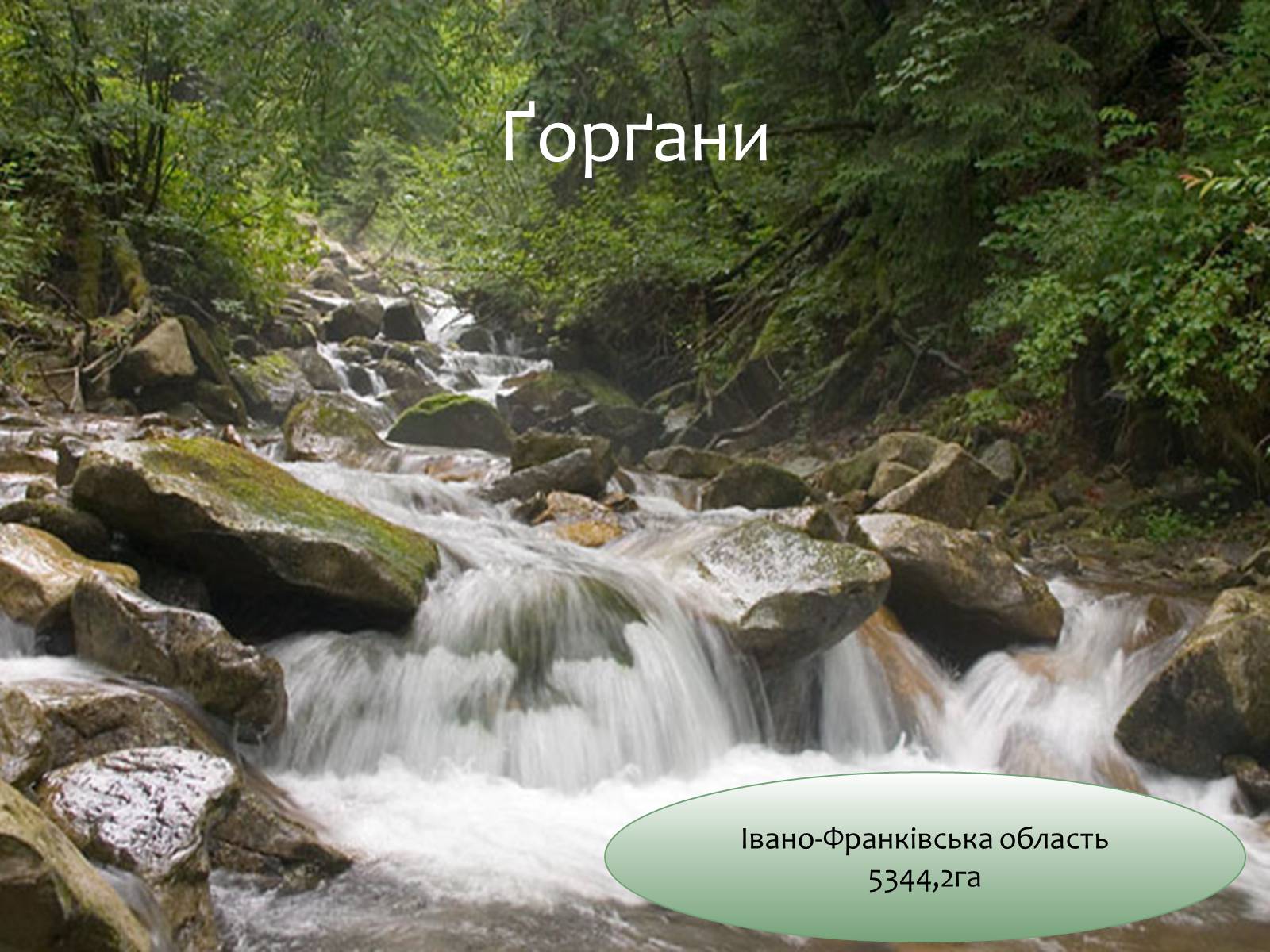 Презентація на тему «Заповідна мережа України» (варіант 6) - Слайд #3 Презентація на тему «Заповідна мережа України» (варіант 6) - Слайд #3