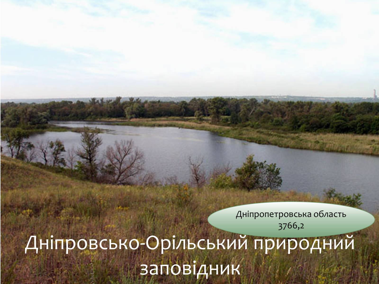 Презентація на тему «Заповідна мережа України» (варіант 6) - Слайд #6 Презентація на тему «Заповідна мережа України» (варіант 6) - Слайд #6
