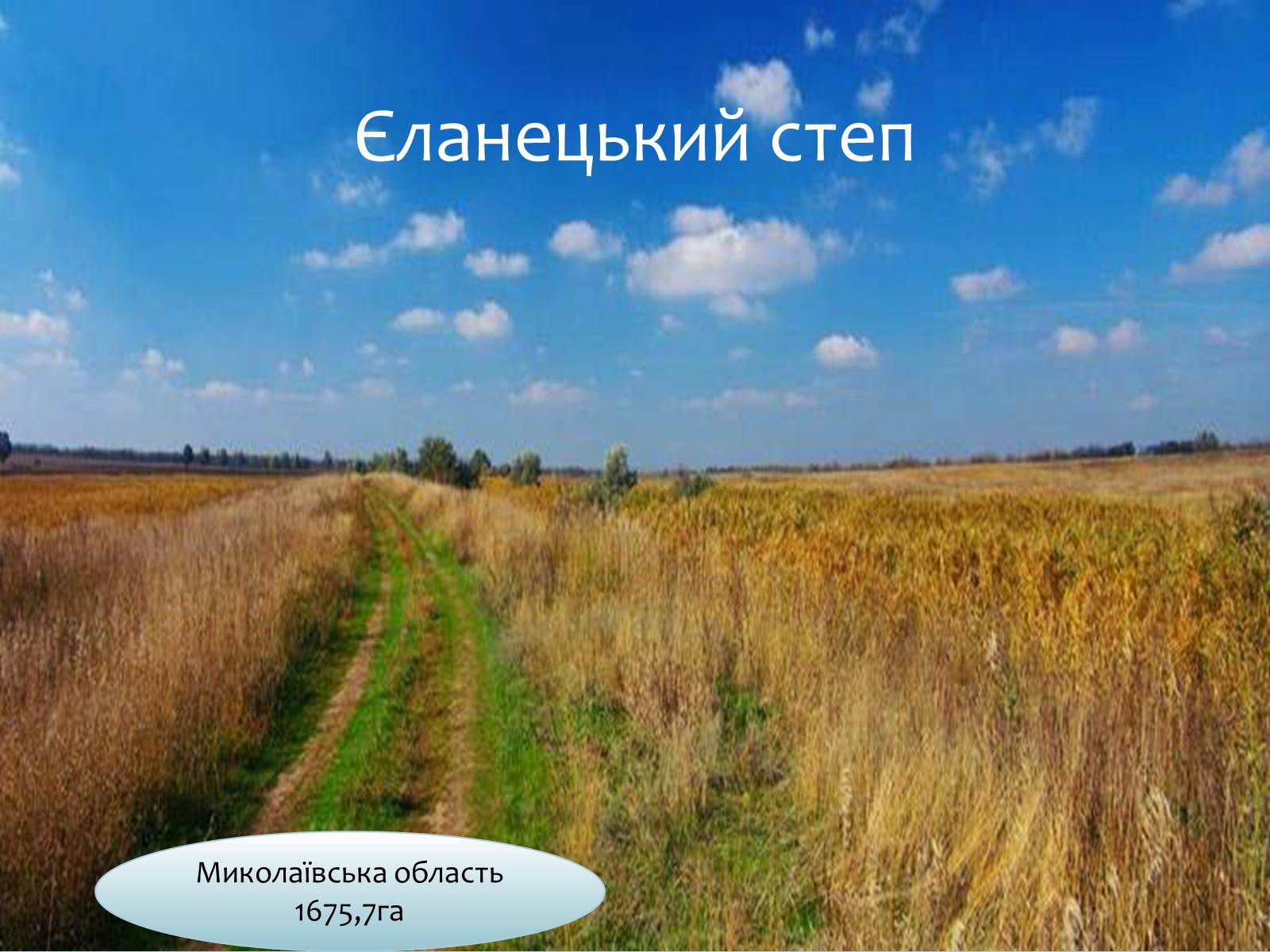 Презентація на тему «Заповідна мережа України» (варіант 6) - Слайд #8 Презентація на тему «Заповідна мережа України» (варіант 6) - Слайд #8