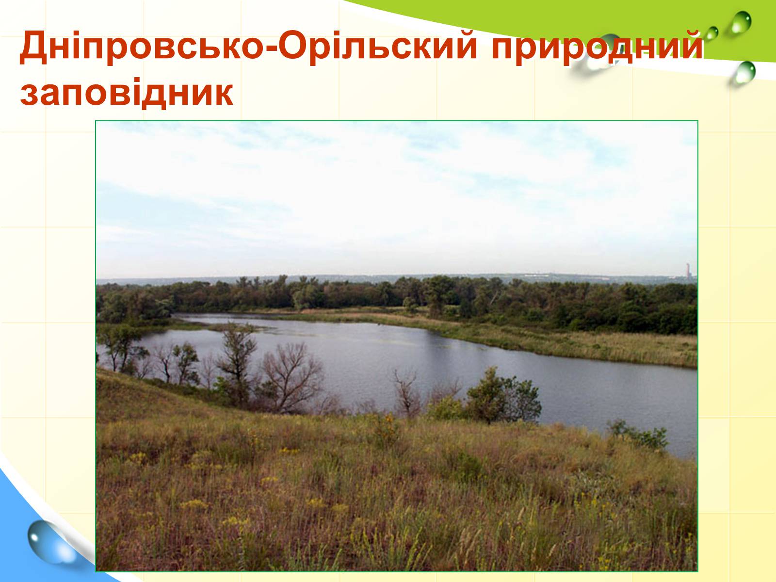 Презентація на тему «Природні заповідники України» (варіант 5) - Слайд #13 Презентація на тему «Природні заповідники України» (варіант 5) - Слайд #13