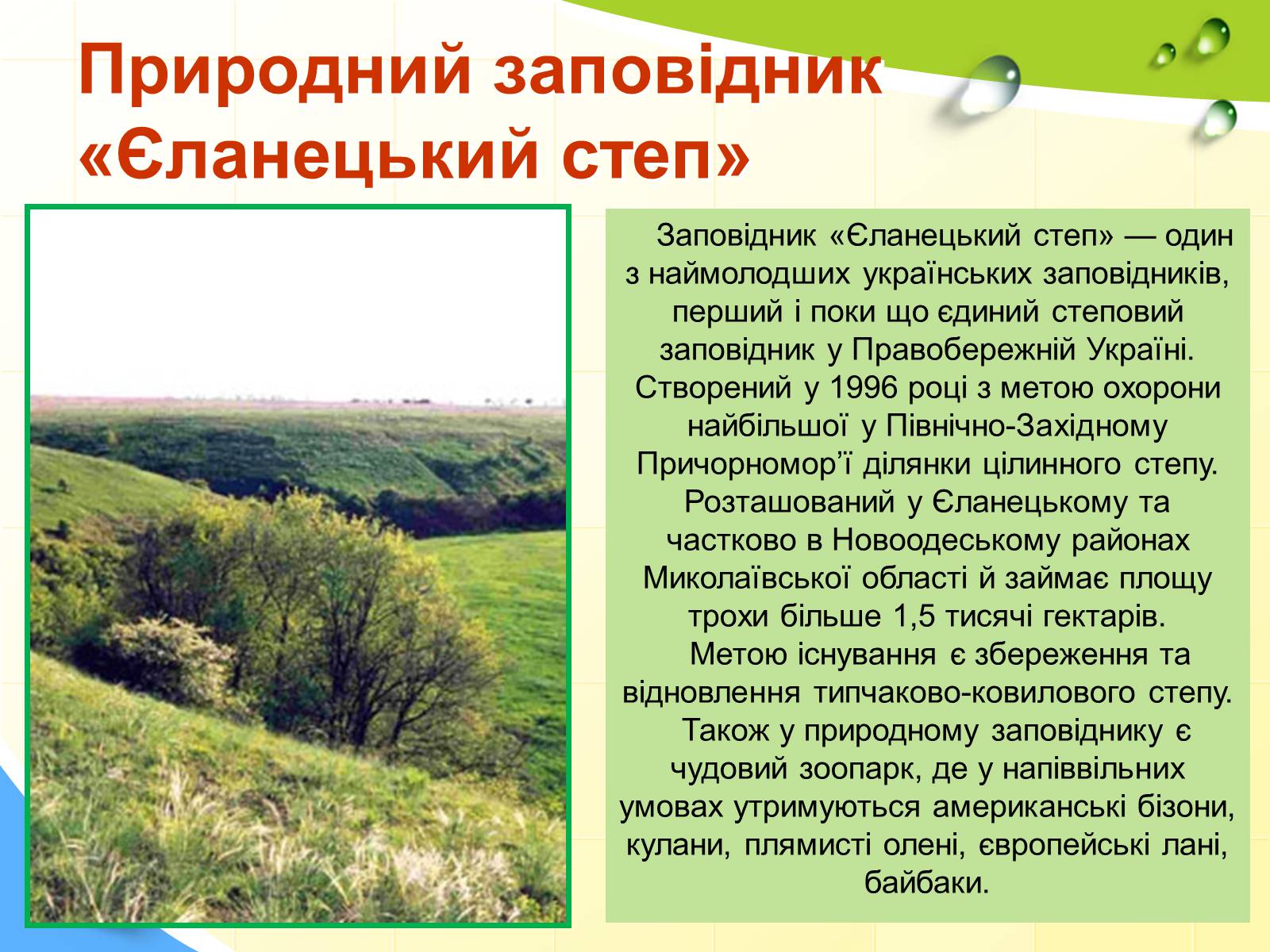 Презентація на тему «Природні заповідники України» (варіант 5) - Слайд #17 Презентація на тему «Природні заповідники України» (варіант 5) - Слайд #17