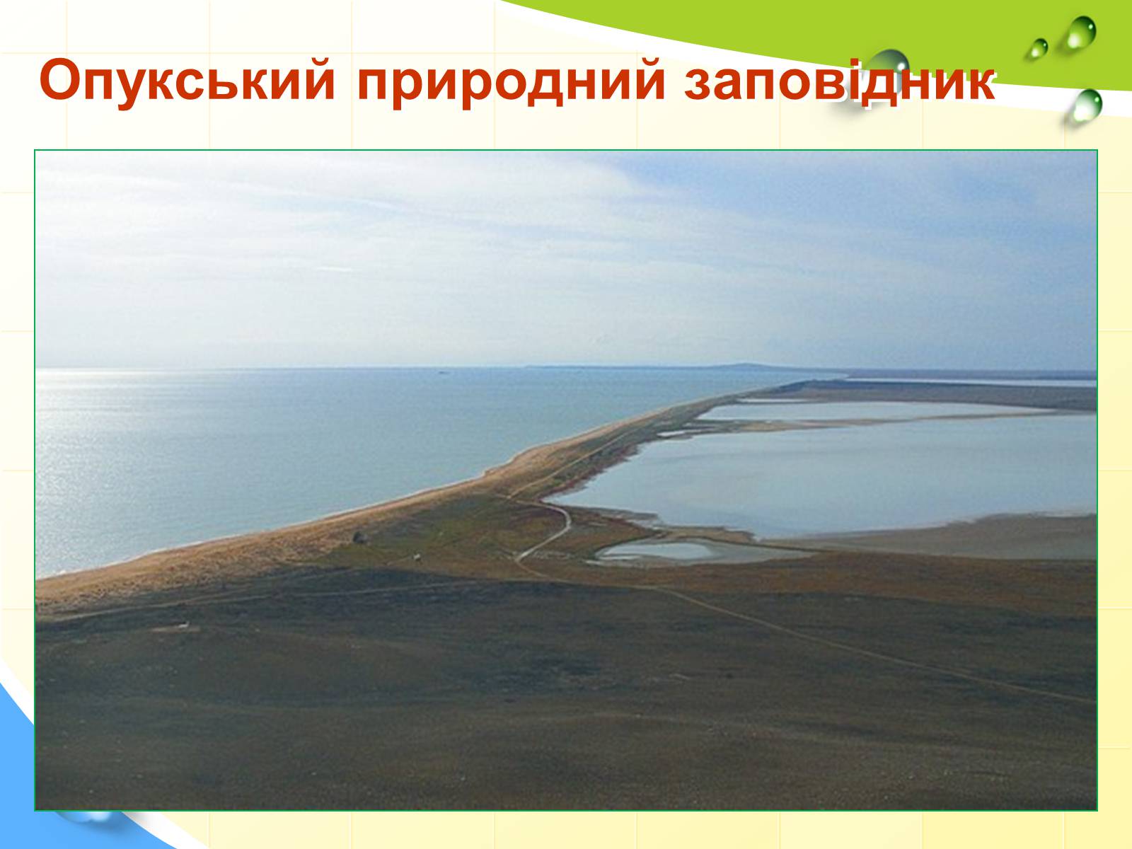 Презентація на тему «Природні заповідники України» (варіант 5) - Слайд #36 Презентація на тему «Природні заповідники України» (варіант 5) - Слайд #36