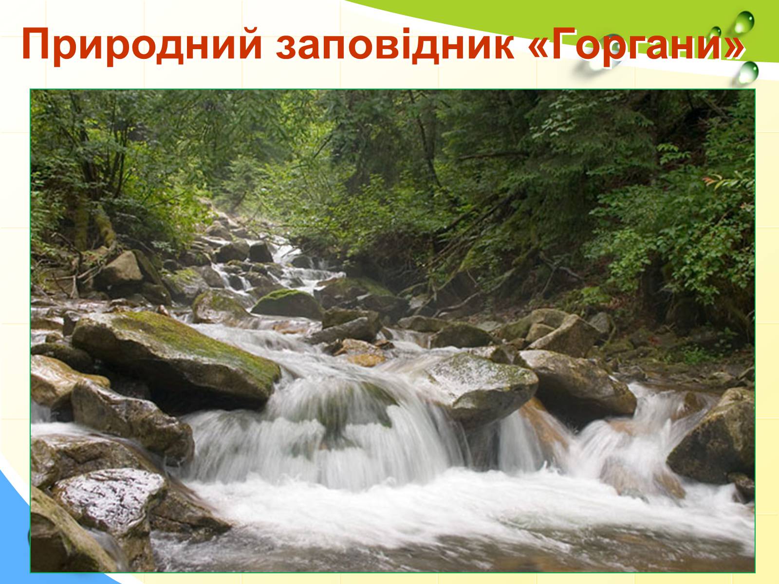 Презентація на тему «Природні заповідники України» (варіант 5) - Слайд #4 Презентація на тему «Природні заповідники України» (варіант 5) - Слайд #4